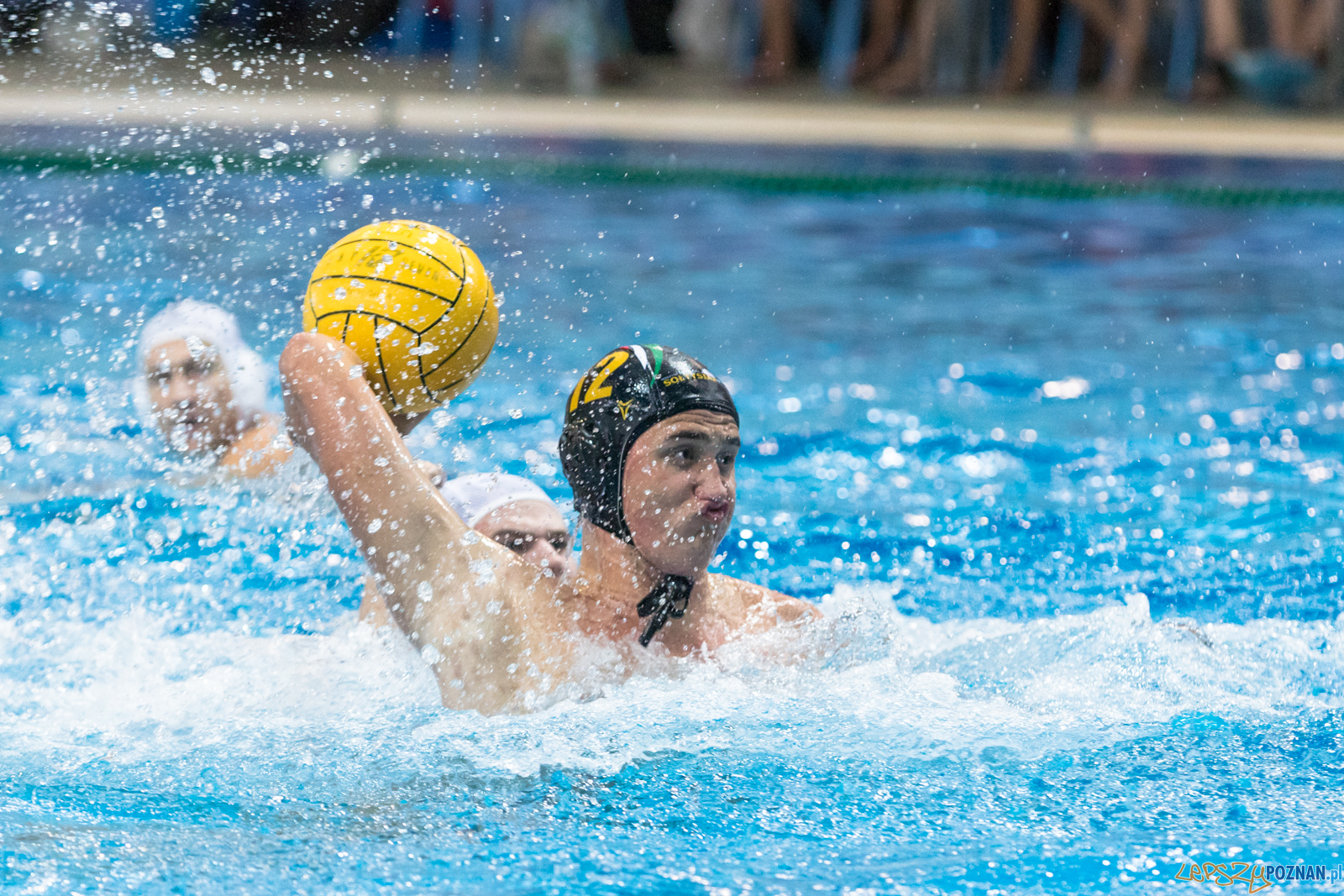 Waterpolo Cup 2019 - Waterpolo Poznań - Alfa Gorzów Wielkopols Foto: lepszyPOZNAN.pl/Piotr Rychter Waterpolo Cup 2019 - Waterpolo Poznań - Alfa Gorzów Wielkopols Foto: lepszyPOZNAN.pl/Piotr Rychter