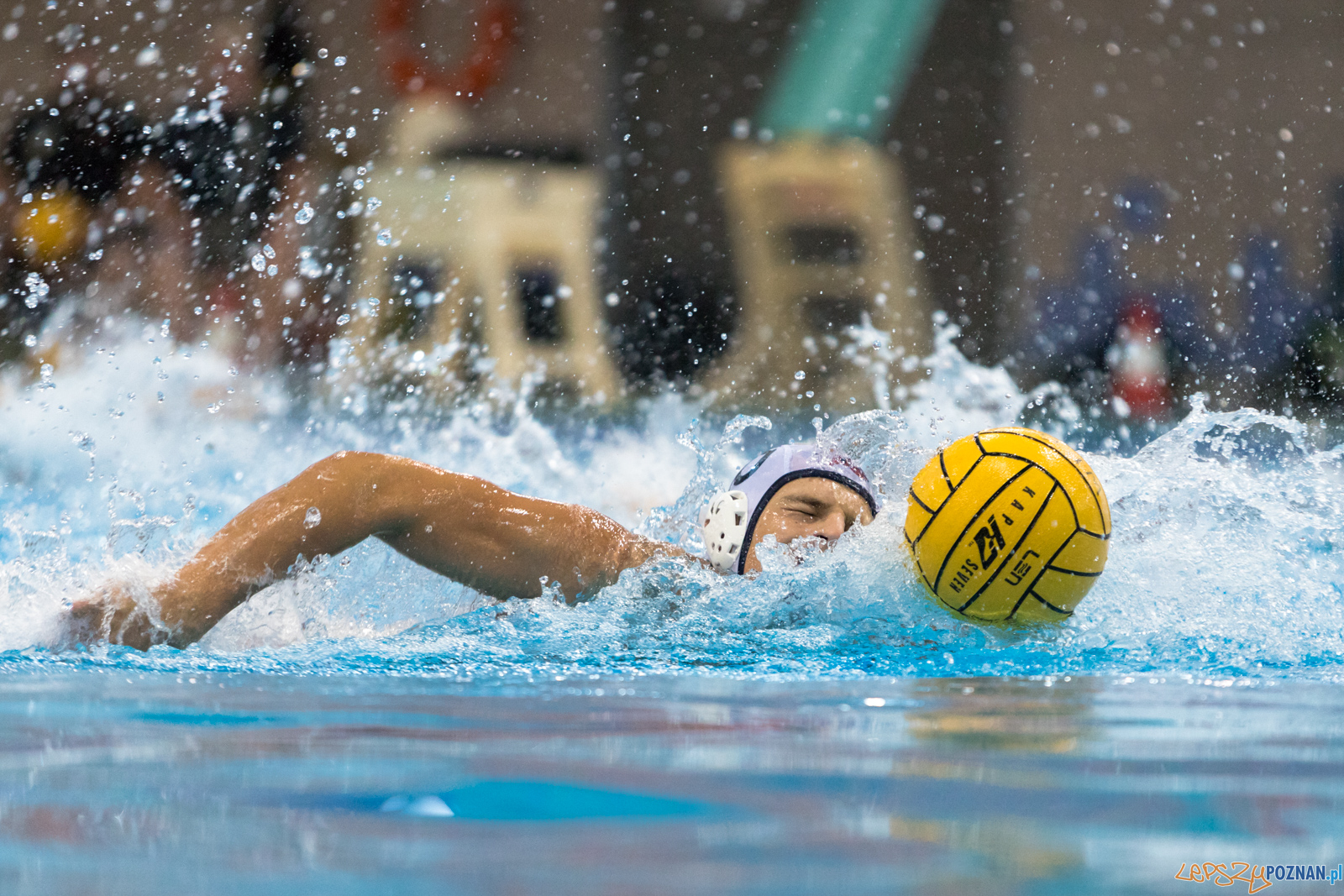 Waterpolo Cup 2019 - Hornets Koszyce - Alfa Gorzów Wielkopolski Foto: lepszyPOZNAN.pl/Piotr Rychter Waterpolo Cup 2019 - Hornets Koszyce - Alfa Gorzów Wielkopolski Foto: lepszyPOZNAN.pl/Piotr Rychter