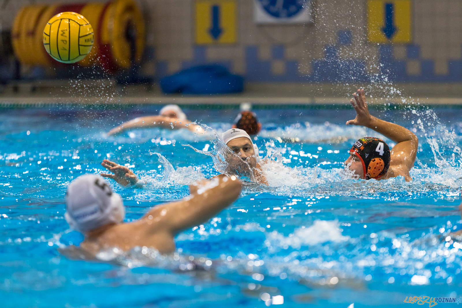 Waterpolo Cup 2019 - Waterpolo Poznań - KSZO Ostrowiec Święto Foto: lepszyPOZNAN.pl/Piotr Rychter Waterpolo Cup 2019 - Waterpolo Poznań - KSZO Ostrowiec Święto Foto: lepszyPOZNAN.pl/Piotr Rychter