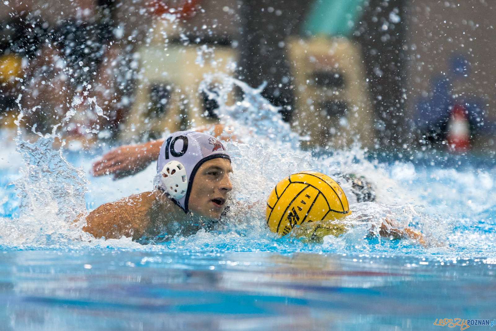 Waterpolo Cup 2019 - Hornets Koszyce - Alfa Gorzów Wielkopolski Foto: lepszyPOZNAN.pl/Piotr Rychter Waterpolo Cup 2019 - Hornets Koszyce - Alfa Gorzów Wielkopolski Foto: lepszyPOZNAN.pl/Piotr Rychter