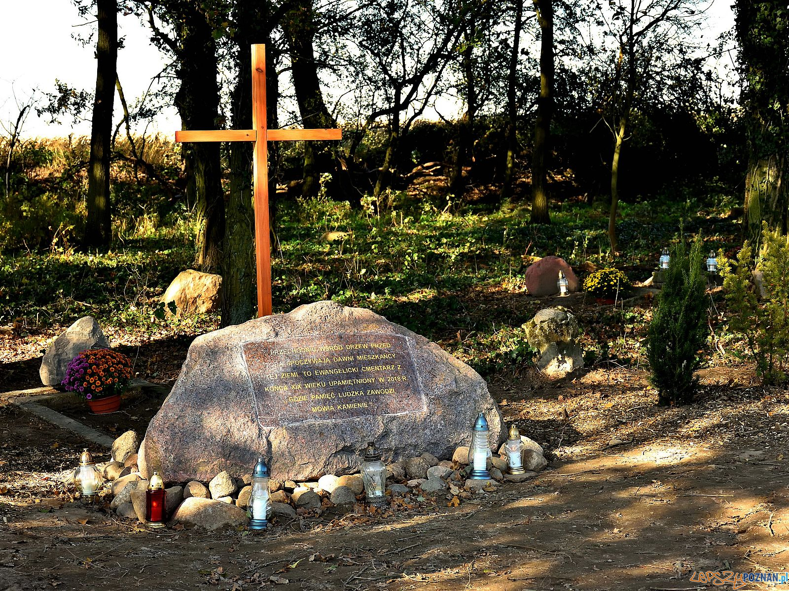 Mariusz Szrajbrowski / Twoja Ziemia Pobiedziska Foto: Mariusz Szrajbrowski / Twoja Ziemia Pobiedziska Mariusz Szrajbrowski / Twoja Ziemia Pobiedziska Foto: Mariusz Szrajbrowski / Twoja Ziemia Pobiedziska