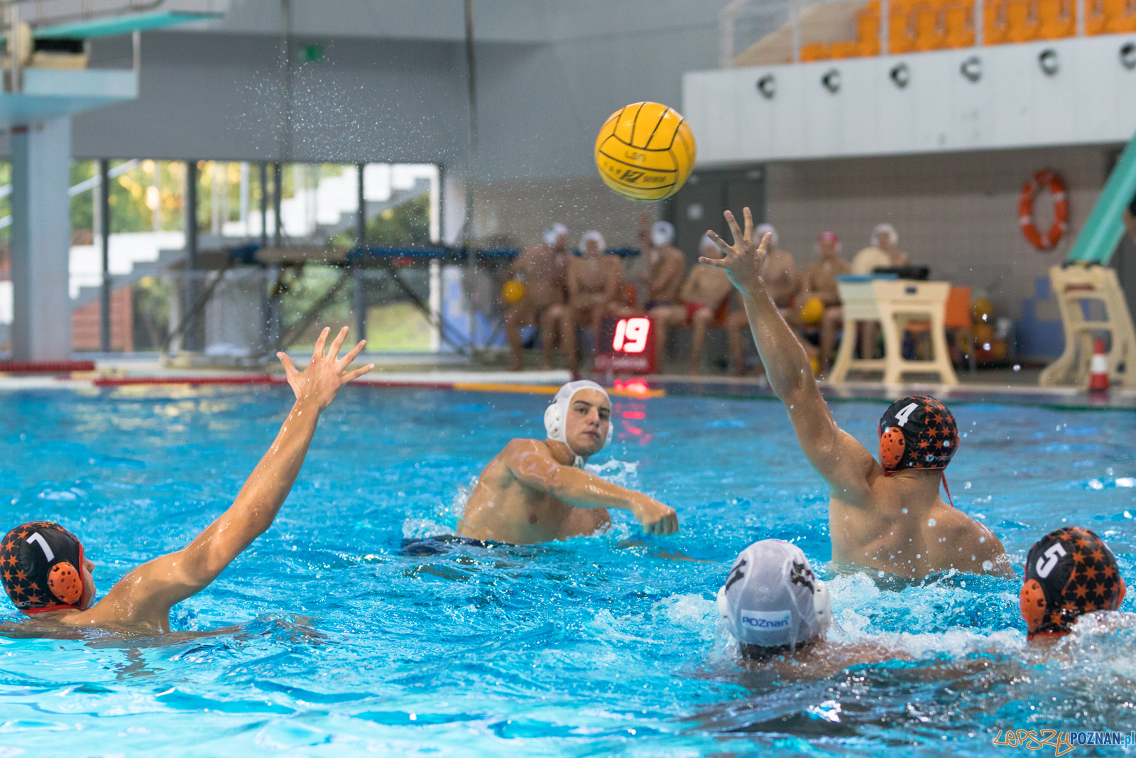 Waterpolo Cup 2019 - Alfa Gorzów Wielkopolski - KSZO Ostrowiec Foto: lepszyPOZNAN.pl/Piotr Rychter Waterpolo Cup 2019 - Alfa Gorzów Wielkopolski - KSZO Ostrowiec Foto: lepszyPOZNAN.pl/Piotr Rychter