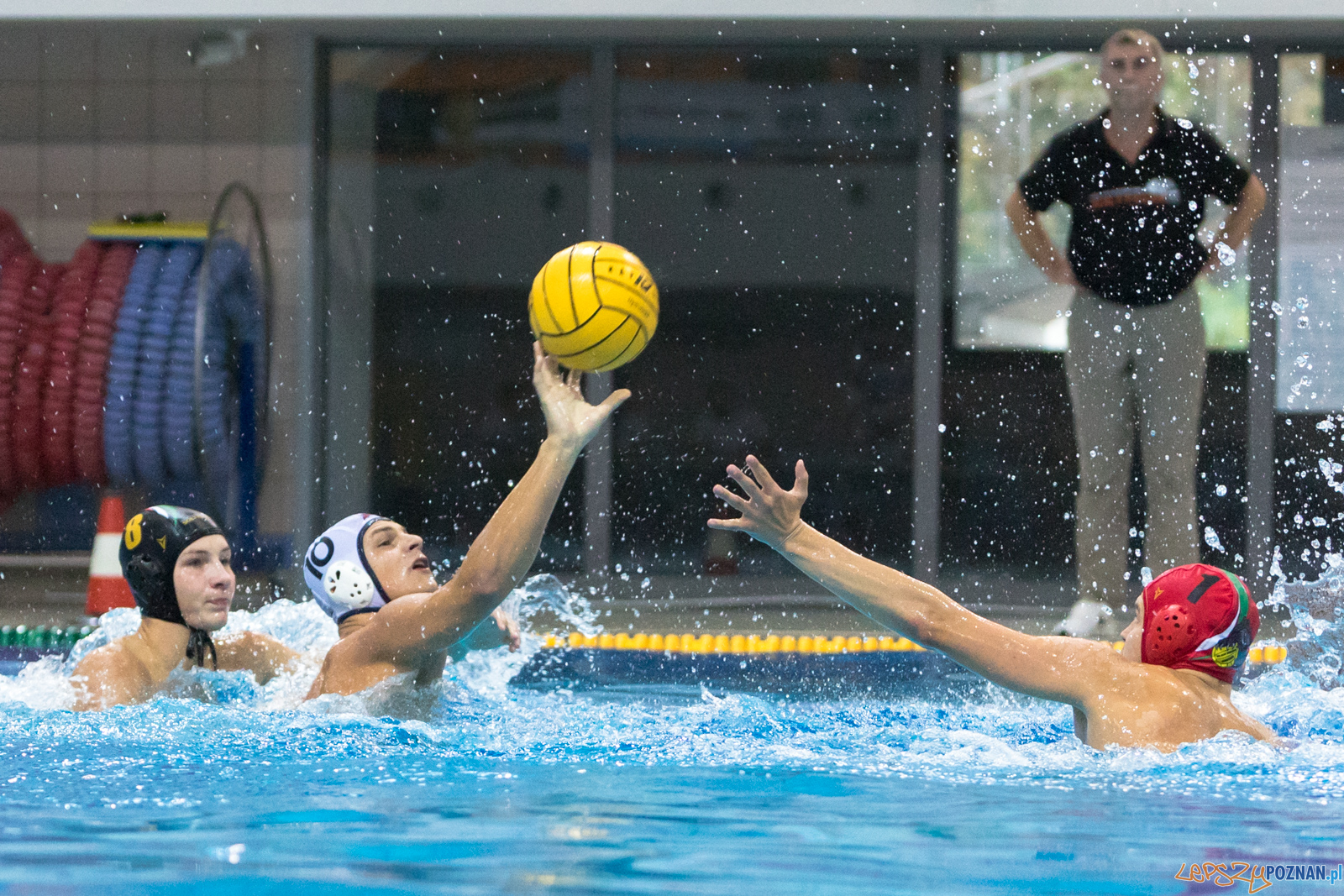 Waterpolo Cup 2019 - Hornets Koszyce - Alfa Gorzów Wielkopolski Foto: lepszyPOZNAN.pl/Piotr Rychter Waterpolo Cup 2019 - Hornets Koszyce - Alfa Gorzów Wielkopolski Foto: lepszyPOZNAN.pl/Piotr Rychter