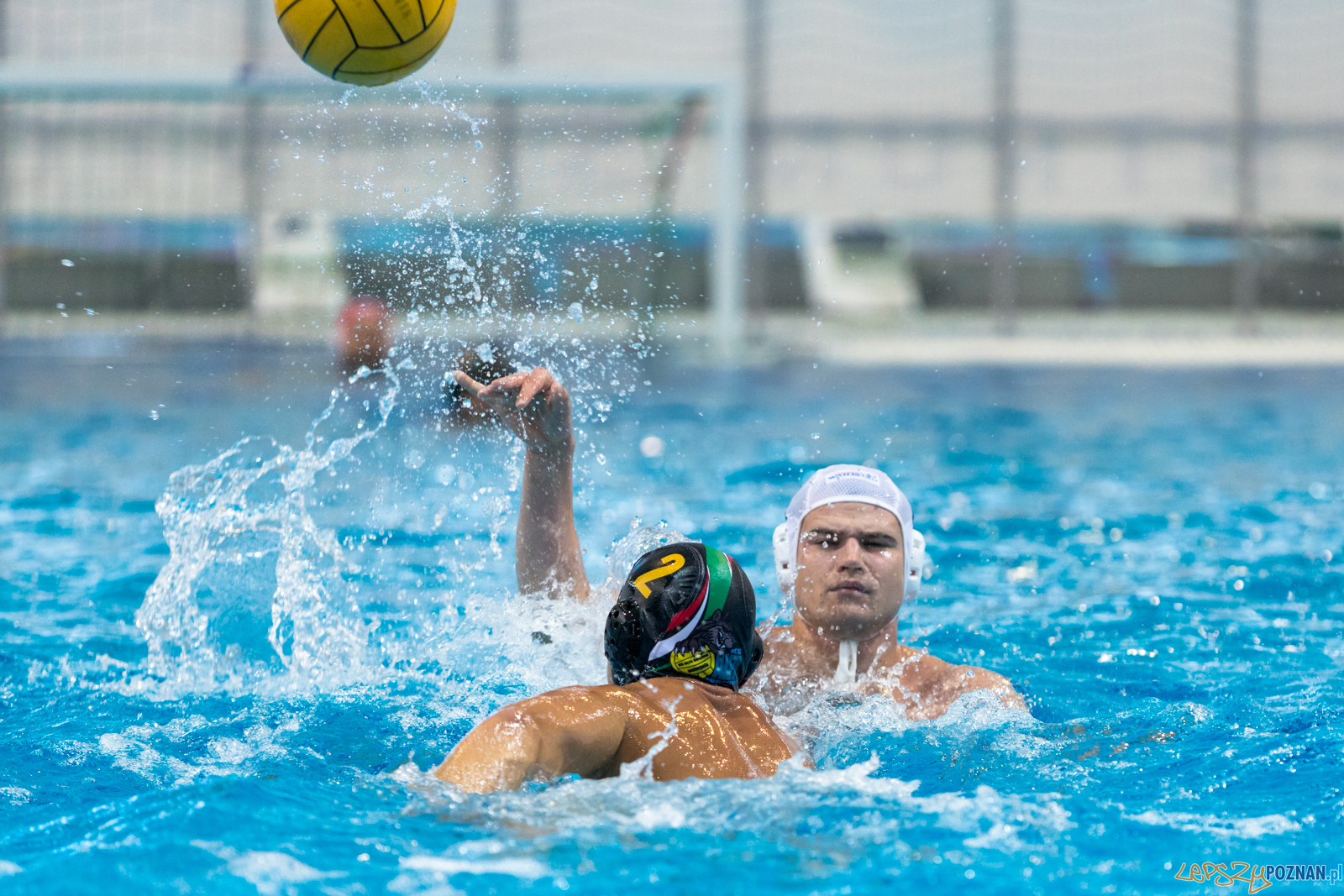 Waterpolo Cup 2019 - Waterpolo Poznań - Alfa Gorzów Wielkopols Foto: lepszyPOZNAN.pl/Piotr Rychter Waterpolo Cup 2019 - Waterpolo Poznań - Alfa Gorzów Wielkopols Foto: lepszyPOZNAN.pl/Piotr Rychter