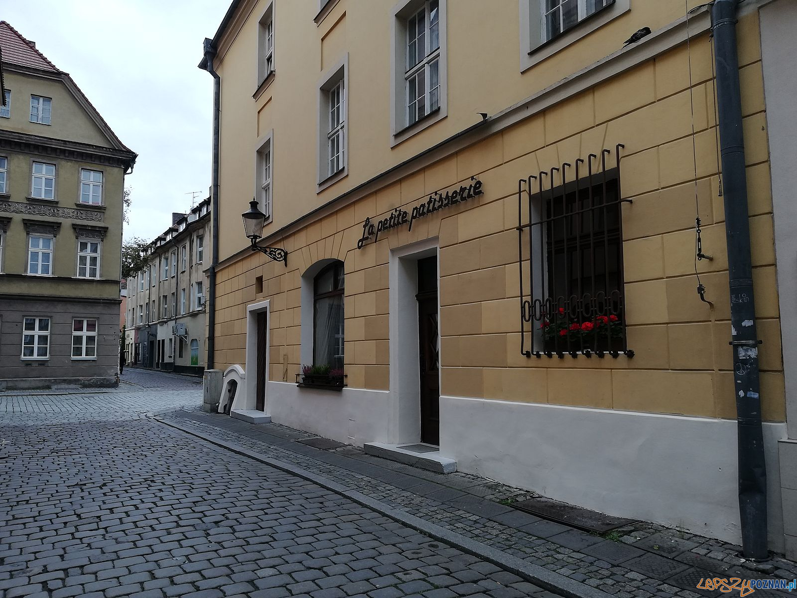 Le petite patisserie - Klasztorna / Wielka Foto: Tomasz Dworek Le petite patisserie - Klasztorna / Wielka Foto: Tomasz Dworek