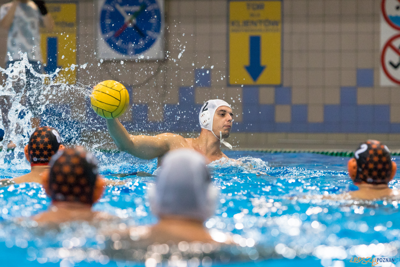Waterpolo Cup 2019 - Waterpolo Poznań - KSZO Ostrowiec Święto Foto: lepszyPOZNAN.pl/Piotr Rychter Waterpolo Cup 2019 - Waterpolo Poznań - KSZO Ostrowiec Święto Foto: lepszyPOZNAN.pl/Piotr Rychter
