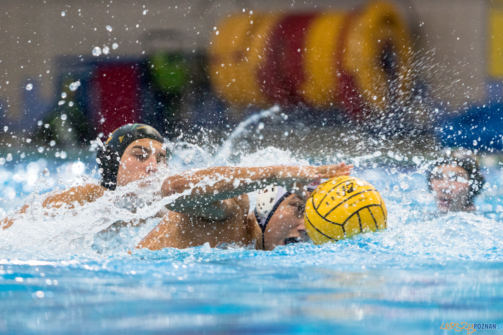 Waterpolo Cup 2019 - Hornets Koszyce - Alfa Gorzów Wielkopolski Foto: lepszyPOZNAN.pl/Piotr Rychter Waterpolo Cup 2019 - Hornets Koszyce - Alfa Gorzów Wielkopolski Foto: lepszyPOZNAN.pl/Piotr Rychter