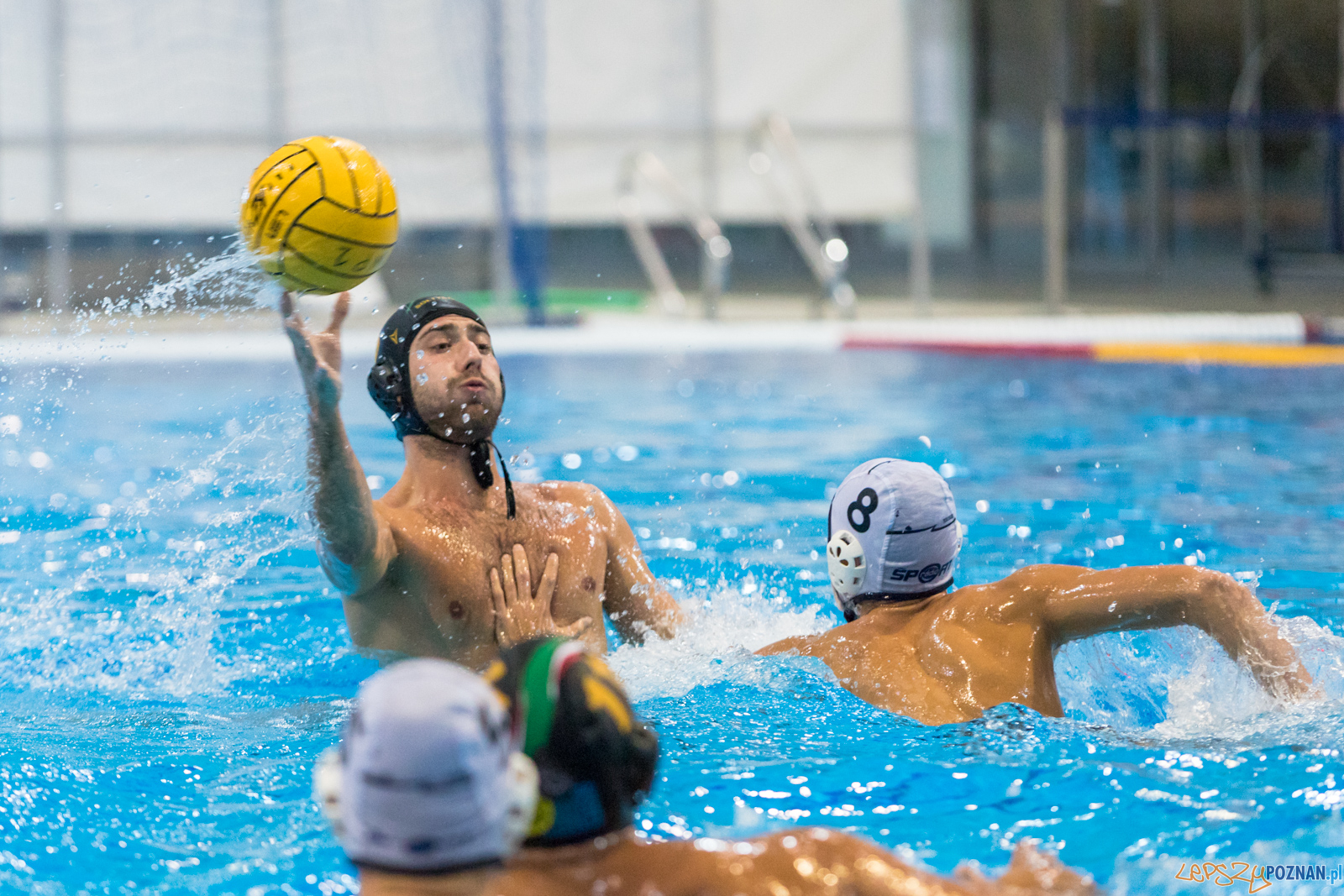 Waterpolo Cup 2019 - Hornets Koszyce - Alfa Gorzów Wielkopolski Foto: lepszyPOZNAN.pl/Piotr Rychter Waterpolo Cup 2019 - Hornets Koszyce - Alfa Gorzów Wielkopolski Foto: lepszyPOZNAN.pl/Piotr Rychter