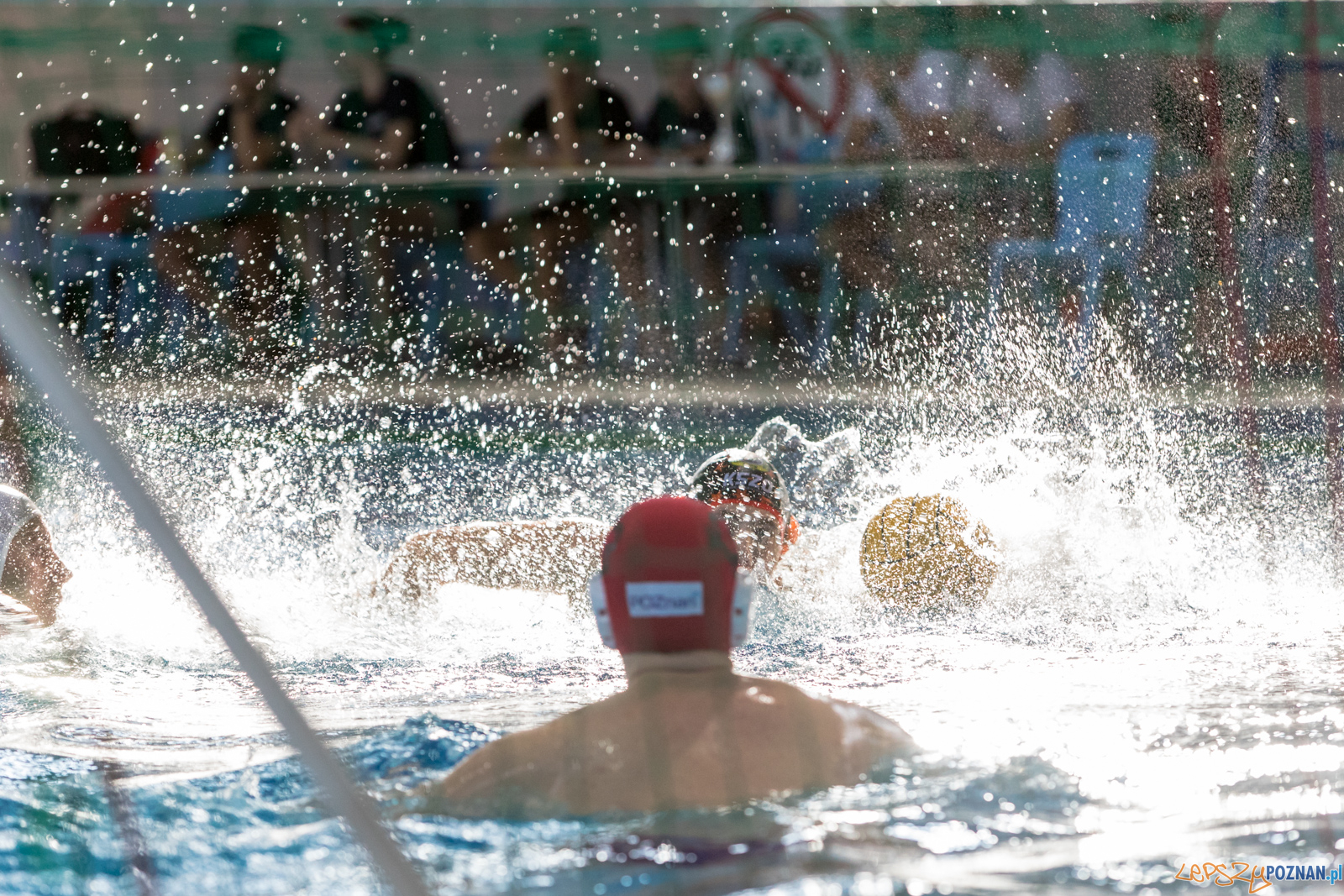 Waterpolo Cup 2019 - Alfa Gorzów Wielkopolski - KSZO Ostrowiec Foto: lepszyPOZNAN.pl/Piotr Rychter Waterpolo Cup 2019 - Alfa Gorzów Wielkopolski - KSZO Ostrowiec Foto: lepszyPOZNAN.pl/Piotr Rychter