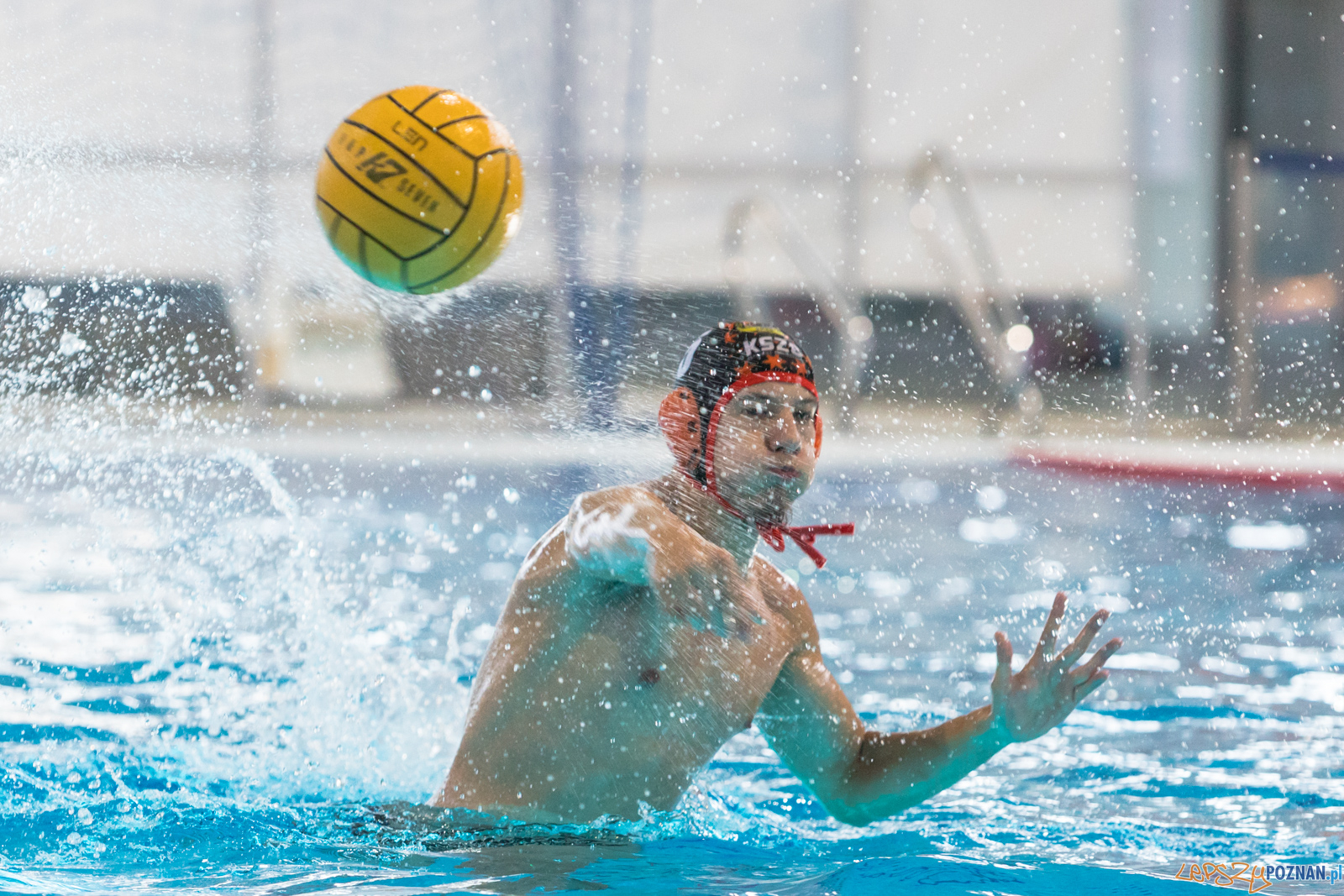 Waterpolo Cup 2019 - Alfa Gorzów Wielkopolski - KSZO Ostrowiec Foto: lepszyPOZNAN.pl/Piotr Rychter Waterpolo Cup 2019 - Alfa Gorzów Wielkopolski - KSZO Ostrowiec Foto: lepszyPOZNAN.pl/Piotr Rychter