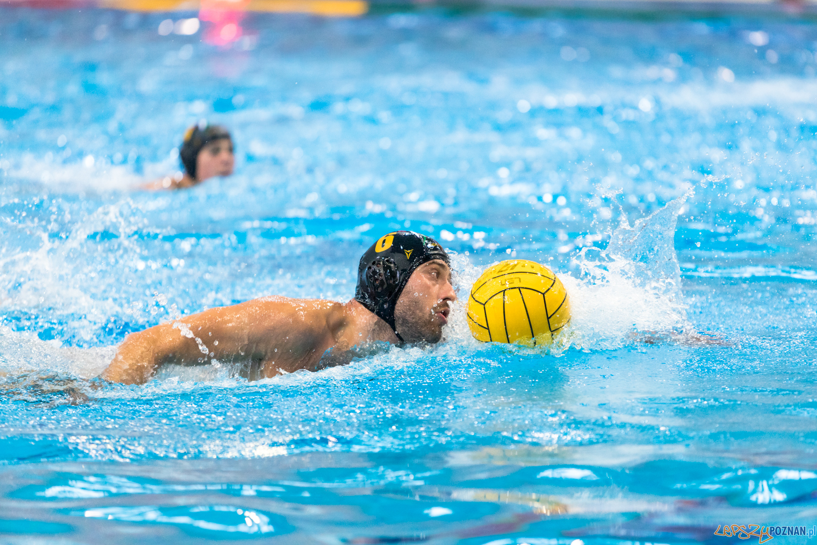 Waterpolo Cup 2019 - Waterpolo Poznań - Alfa Gorzów Wielkopols Foto: lepszyPOZNAN.pl/Piotr Rychter Waterpolo Cup 2019 - Waterpolo Poznań - Alfa Gorzów Wielkopols Foto: lepszyPOZNAN.pl/Piotr Rychter