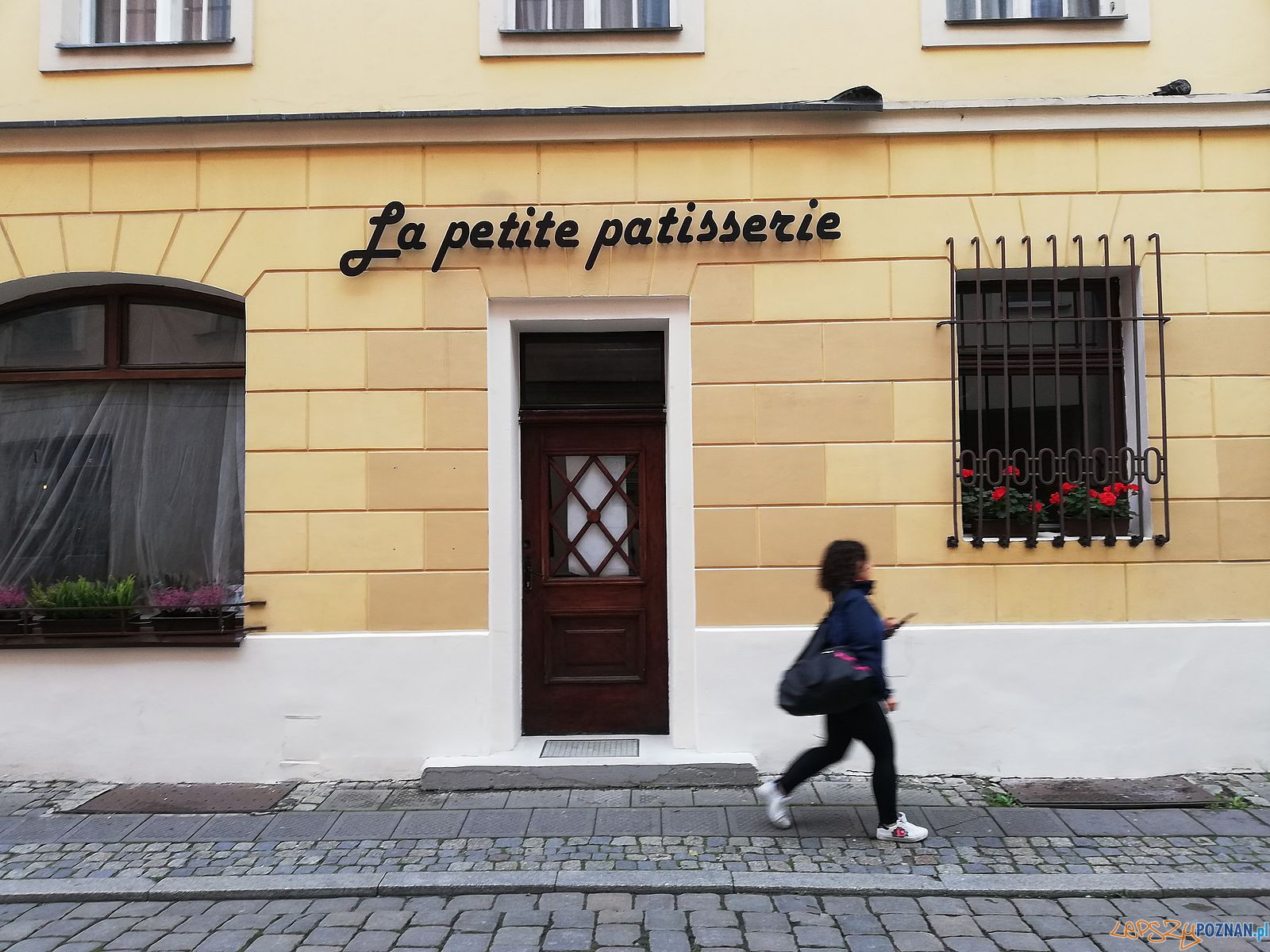 Le petite patisserie - Klasztorna / Wielka Foto: Tomasz Dworek Le petite patisserie - Klasztorna / Wielka Foto: Tomasz Dworek