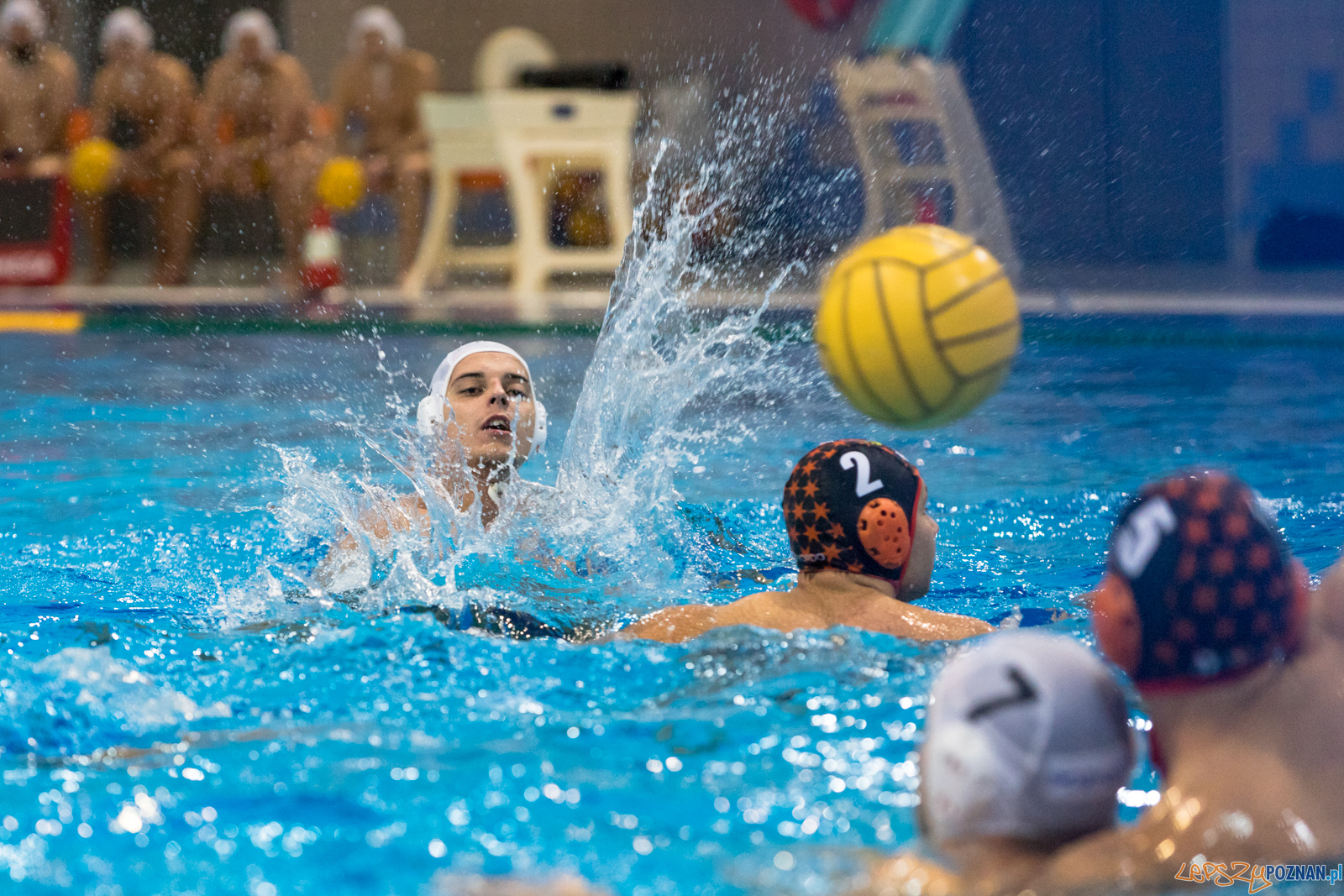 Waterpolo Cup 2019 - Waterpolo Poznań - KSZO Ostrowiec Święto Foto: lepszyPOZNAN.pl/Piotr Rychter Waterpolo Cup 2019 - Waterpolo Poznań - KSZO Ostrowiec Święto Foto: lepszyPOZNAN.pl/Piotr Rychter