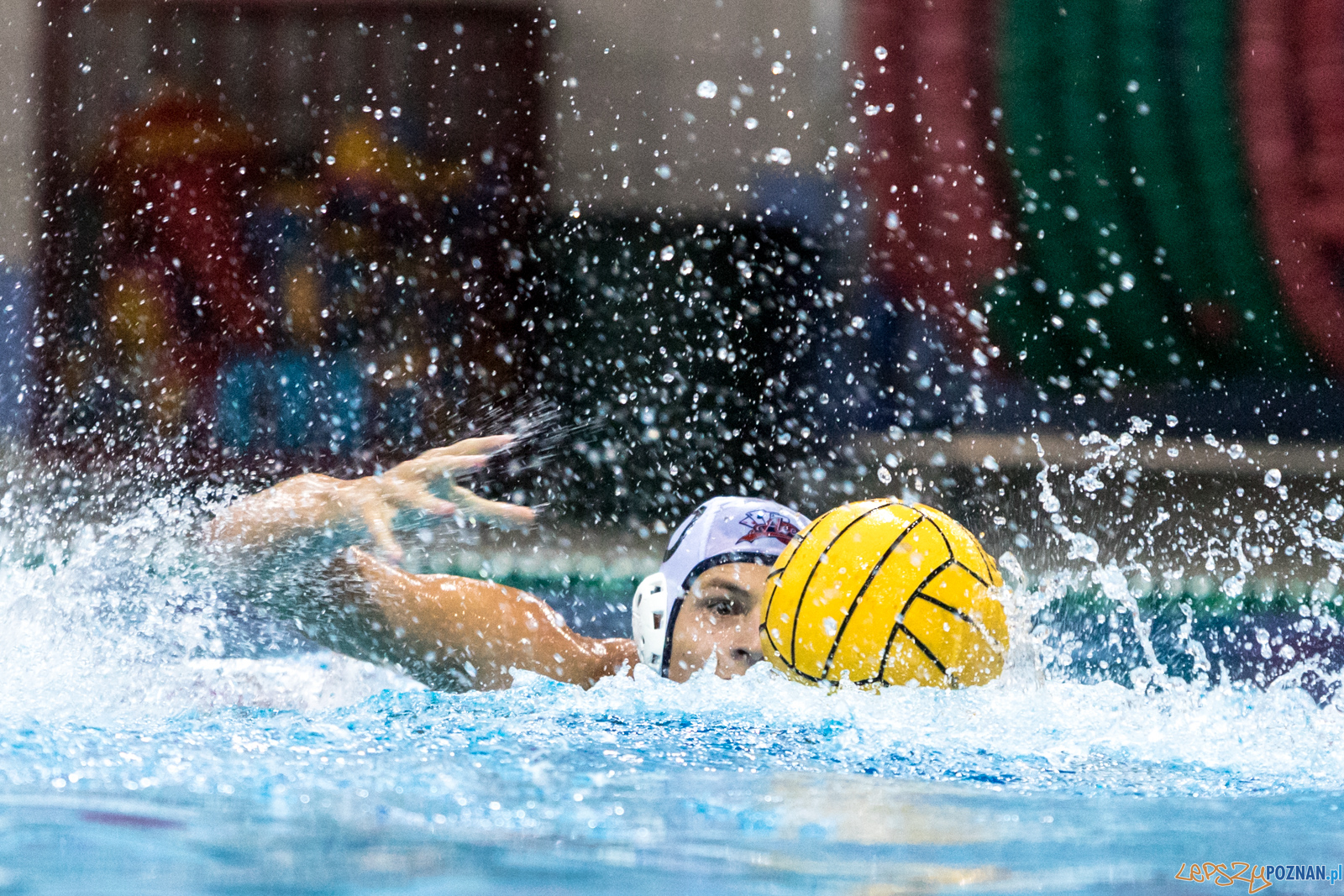 Waterpolo Cup 2019 - Hornets Koszyce - Alfa Gorzów Wielkopolski Foto: lepszyPOZNAN.pl/Piotr Rychter Waterpolo Cup 2019 - Hornets Koszyce - Alfa Gorzów Wielkopolski Foto: lepszyPOZNAN.pl/Piotr Rychter