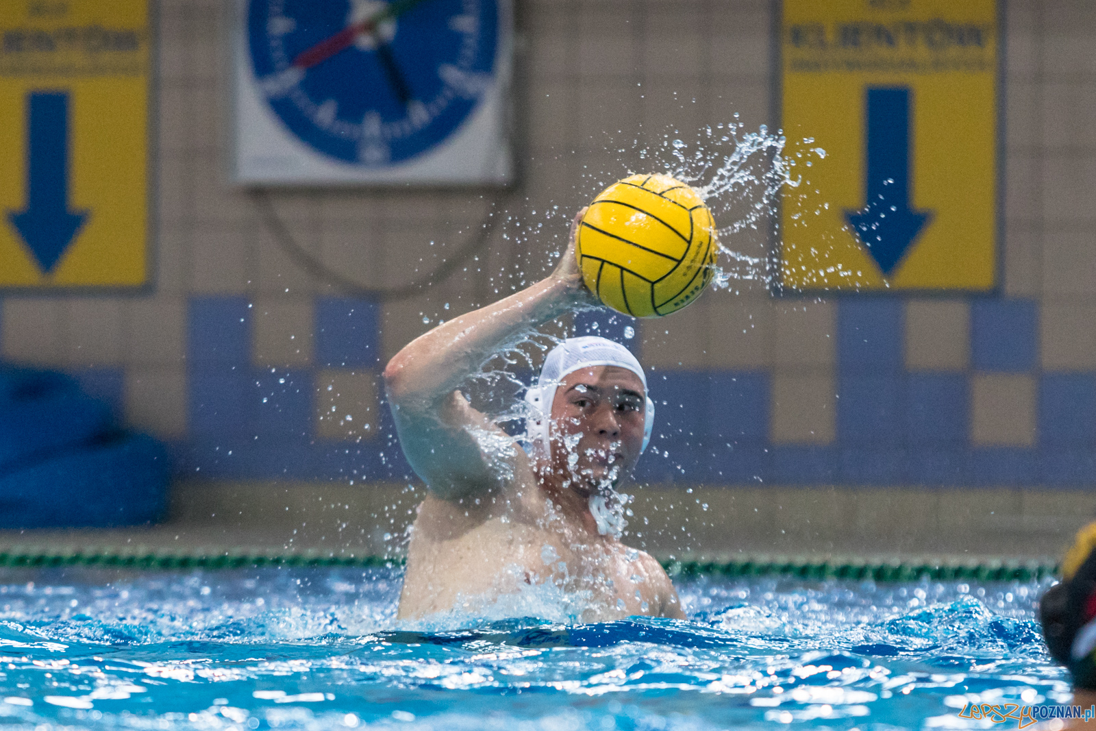 Waterpolo Cup 2019 - Waterpolo Poznań - Alfa Gorzów Wielkopols Foto: lepszyPOZNAN.pl/Piotr Rychter Waterpolo Cup 2019 - Waterpolo Poznań - Alfa Gorzów Wielkopols Foto: lepszyPOZNAN.pl/Piotr Rychter