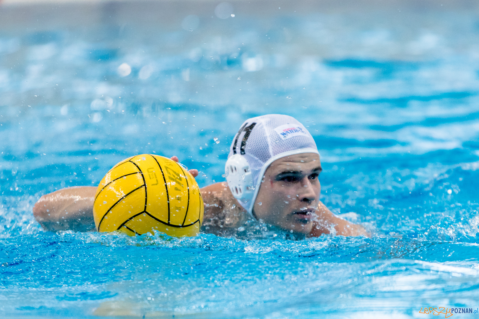 Waterpolo Cup 2019 - Waterpolo Poznań - Alfa Gorzów Wielkopols Foto: lepszyPOZNAN.pl/Piotr Rychter Waterpolo Cup 2019 - Waterpolo Poznań - Alfa Gorzów Wielkopols Foto: lepszyPOZNAN.pl/Piotr Rychter