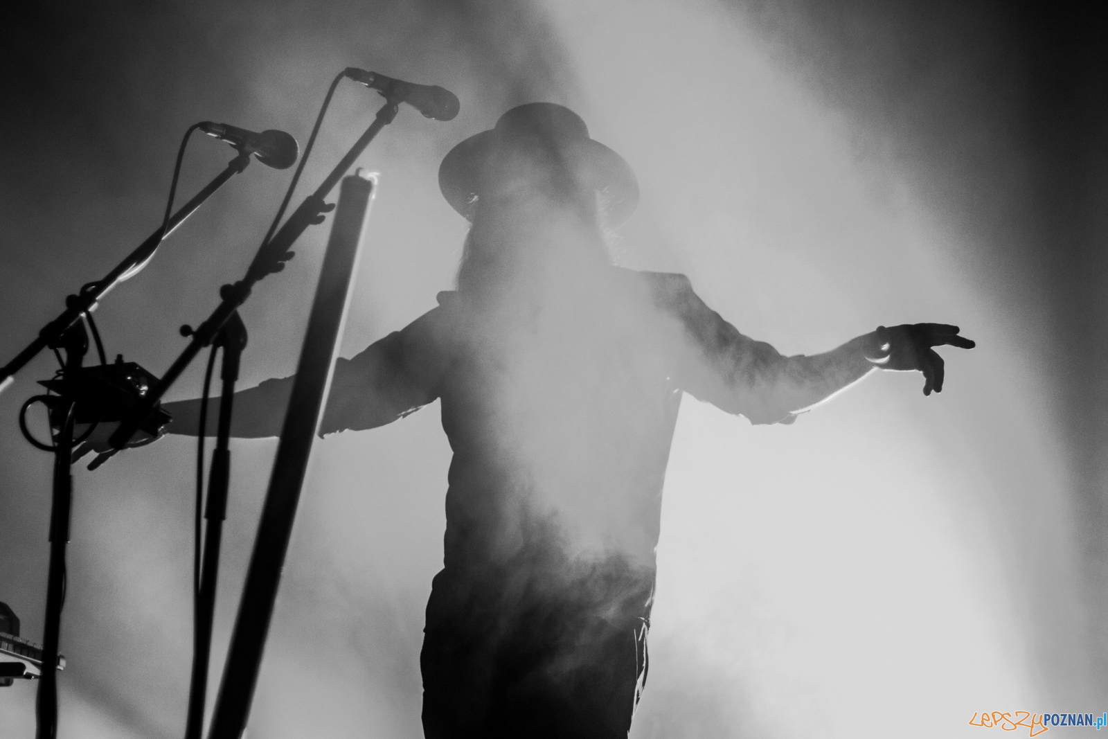 Archive Foto: lepszyPOZNAN.pl / Ewelina Jaśkowiak Archive Foto: lepszyPOZNAN.pl / Ewelina Jaśkowiak