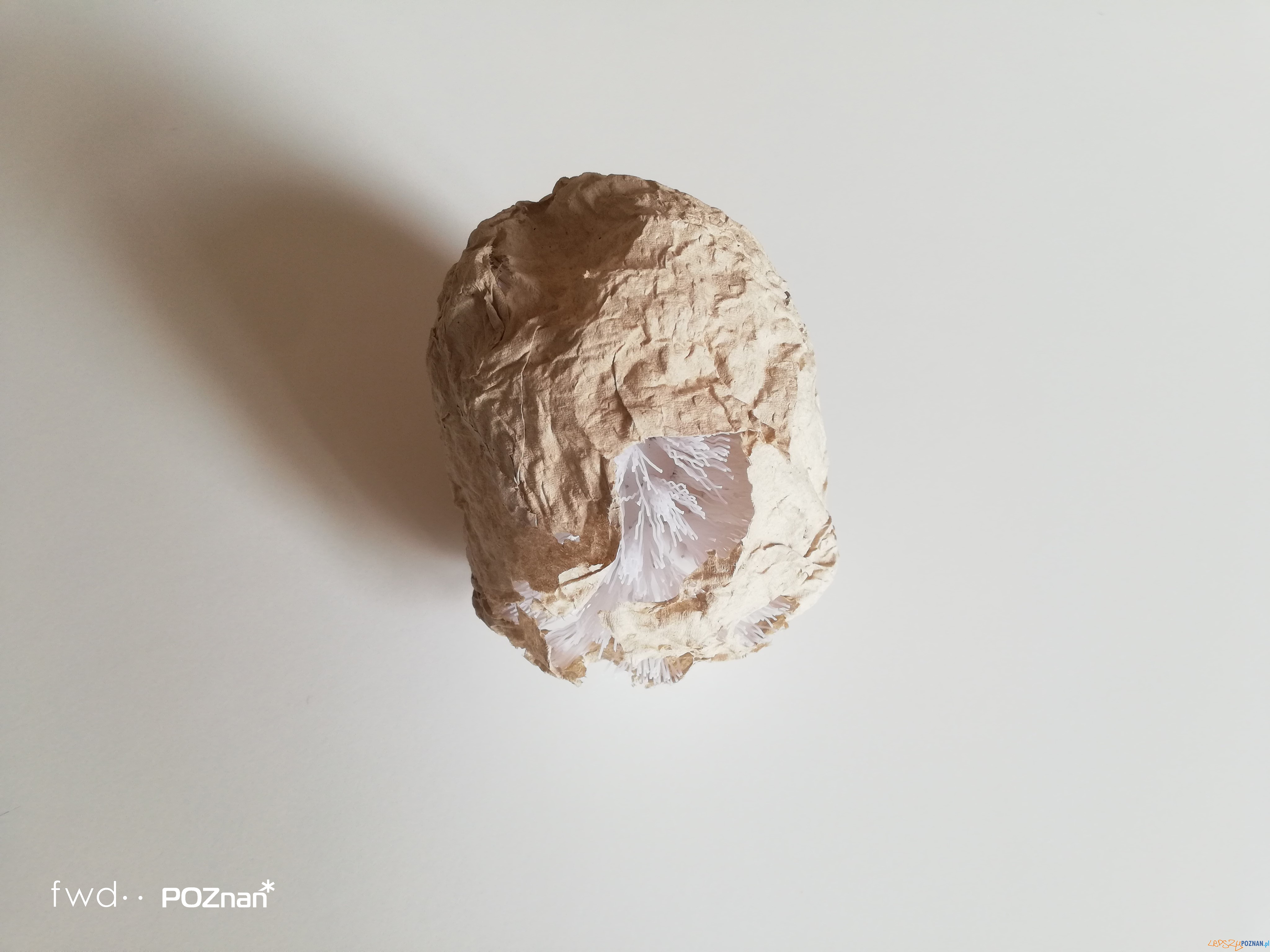 Piotr Bosacki, Wiersze dwustronne Foto: materiały prasowe Piotr Bosacki, Wiersze dwustronne Foto: materiały prasowe