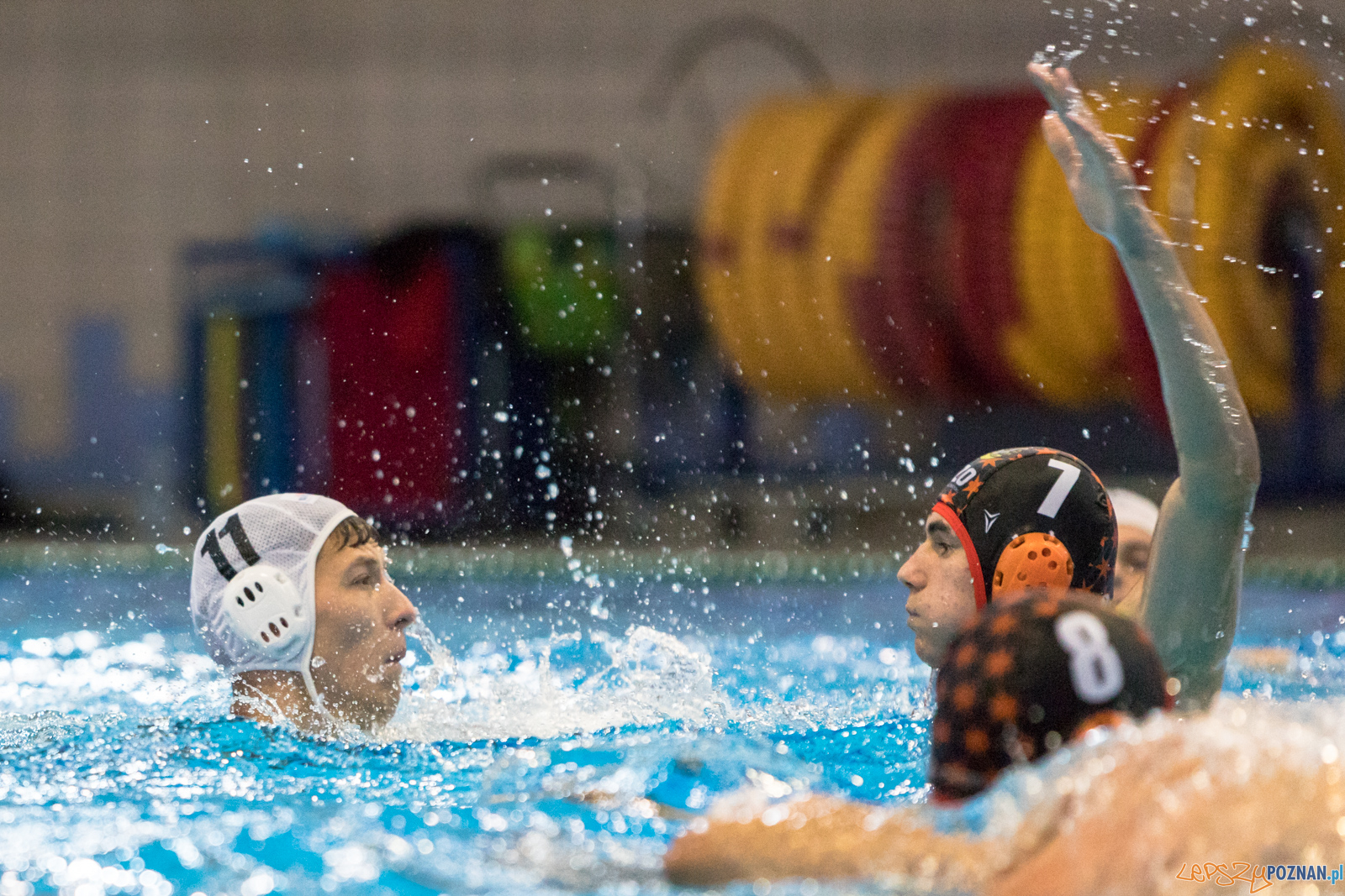 Waterpolo Cup 2019 - Waterpolo Poznań - KSZO Ostrowiec Święto Foto: lepszyPOZNAN.pl/Piotr Rychter Waterpolo Cup 2019 - Waterpolo Poznań - KSZO Ostrowiec Święto Foto: lepszyPOZNAN.pl/Piotr Rychter