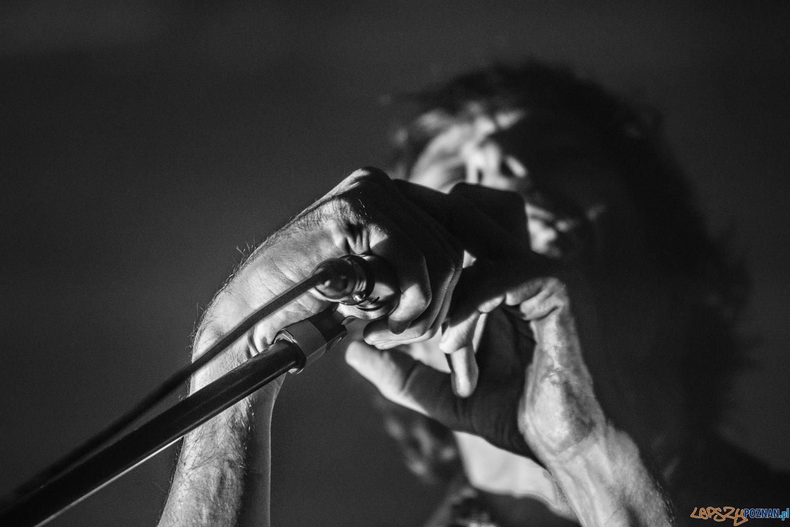 Archive Foto: lepszyPOZNAN.pl / Ewelina Jaśkowiak Archive Foto: lepszyPOZNAN.pl / Ewelina Jaśkowiak