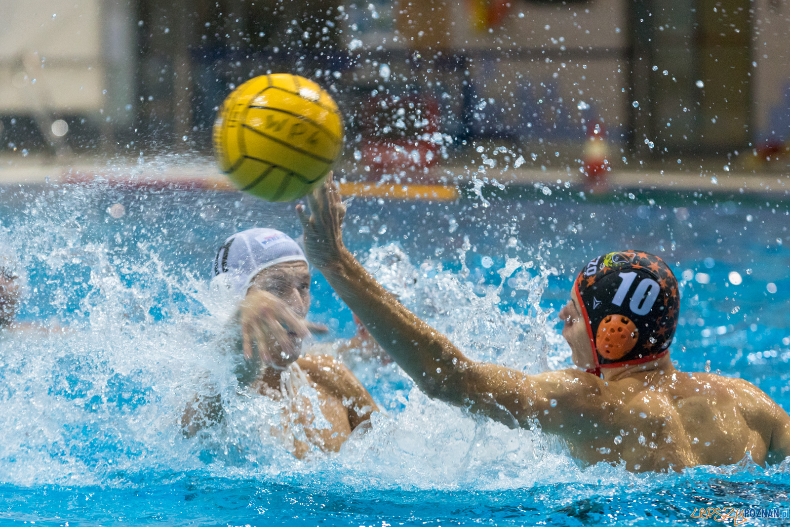 Waterpolo Cup 2019 - Waterpolo Poznań - KSZO Ostrowiec Święto Foto: lepszyPOZNAN.pl/Piotr Rychter Waterpolo Cup 2019 - Waterpolo Poznań - KSZO Ostrowiec Święto Foto: lepszyPOZNAN.pl/Piotr Rychter