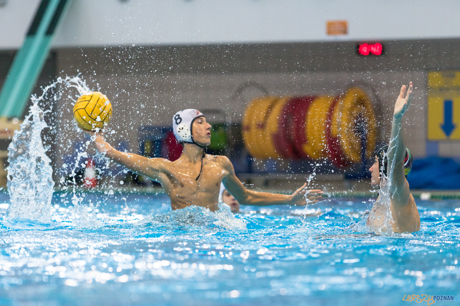 Waterpolo Cup 2019 - Hornets Koszyce - Alfa Gorzów Wielkopolski Foto: lepszyPOZNAN.pl/Piotr Rychter Waterpolo Cup 2019 - Hornets Koszyce - Alfa Gorzów Wielkopolski Foto: lepszyPOZNAN.pl/Piotr Rychter