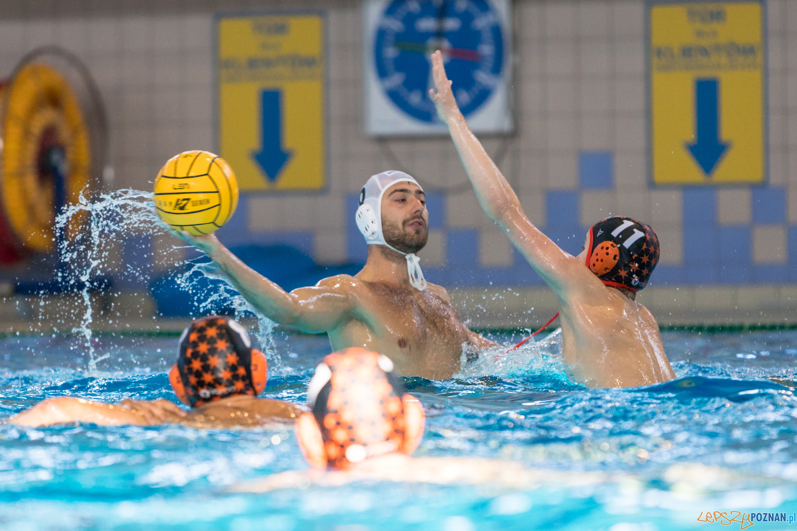Waterpolo Cup 2019 - Alfa Gorzów Wielkopolski - KSZO Ostrowiec Foto: lepszyPOZNAN.pl/Piotr Rychter Waterpolo Cup 2019 - Alfa Gorzów Wielkopolski - KSZO Ostrowiec Foto: lepszyPOZNAN.pl/Piotr Rychter