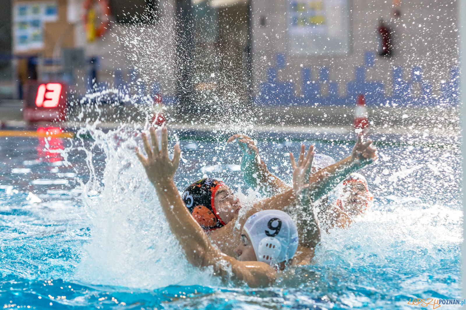 Waterpolo Cup 2019 - Alfa Gorzów Wielkopolski - KSZO Ostrowiec Foto: lepszyPOZNAN.pl/Piotr Rychter Waterpolo Cup 2019 - Alfa Gorzów Wielkopolski - KSZO Ostrowiec Foto: lepszyPOZNAN.pl/Piotr Rychter