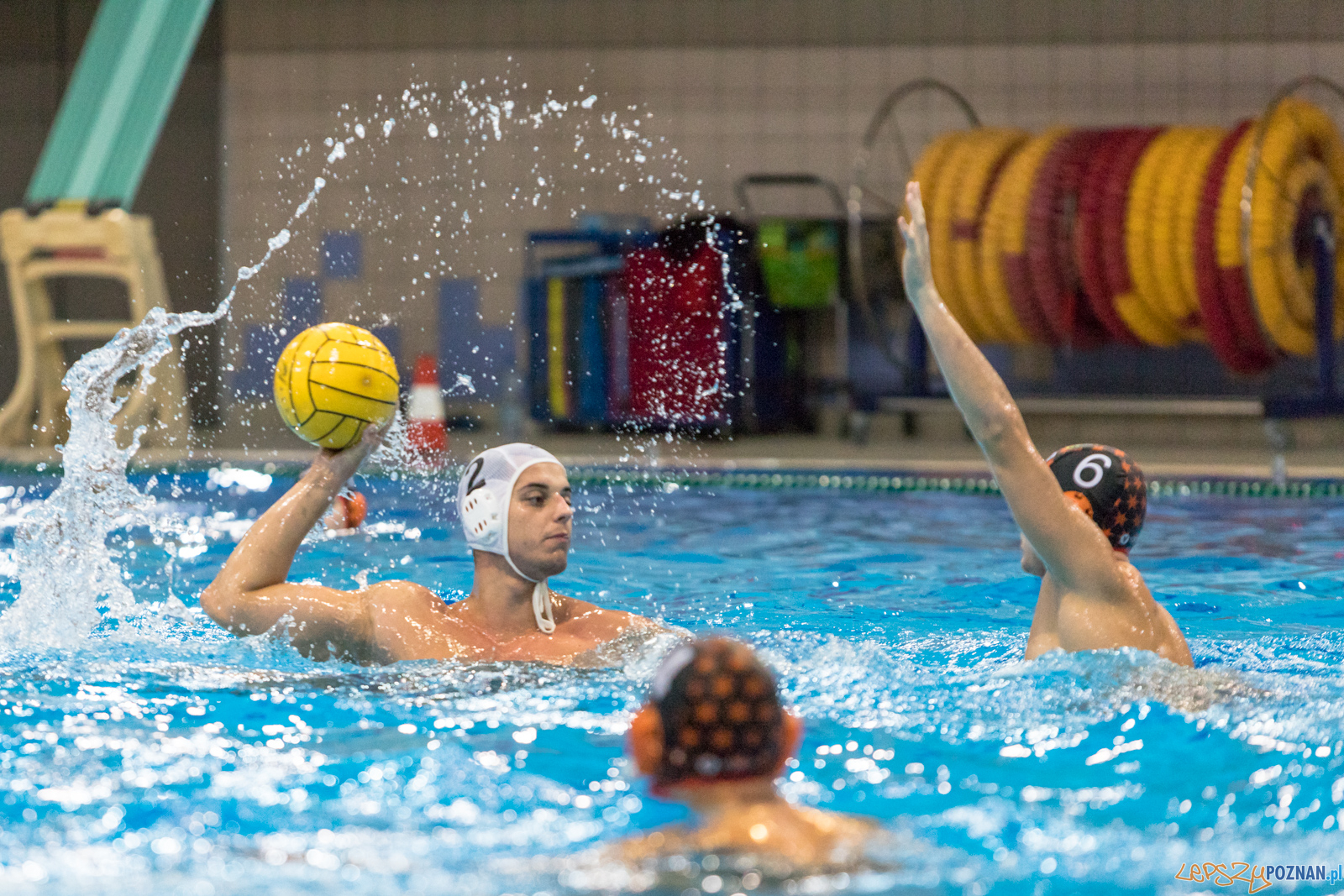 Waterpolo Cup 2019 - Waterpolo Poznań - KSZO Ostrowiec Święto Foto: lepszyPOZNAN.pl/Piotr Rychter Waterpolo Cup 2019 - Waterpolo Poznań - KSZO Ostrowiec Święto Foto: lepszyPOZNAN.pl/Piotr Rychter