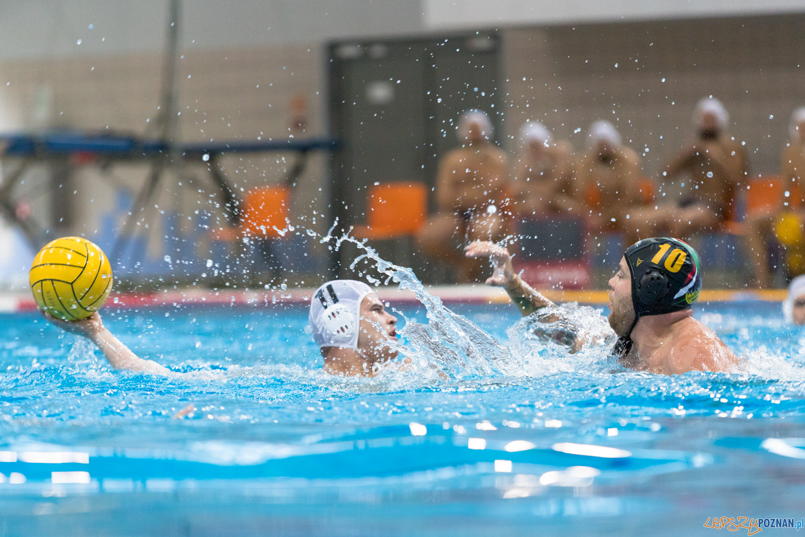Waterpolo Cup 2019 - Waterpolo Poznań - Alfa Gorzów Wielkopols Foto: lepszyPOZNAN.pl/Piotr Rychter Waterpolo Cup 2019 - Waterpolo Poznań - Alfa Gorzów Wielkopols Foto: lepszyPOZNAN.pl/Piotr Rychter