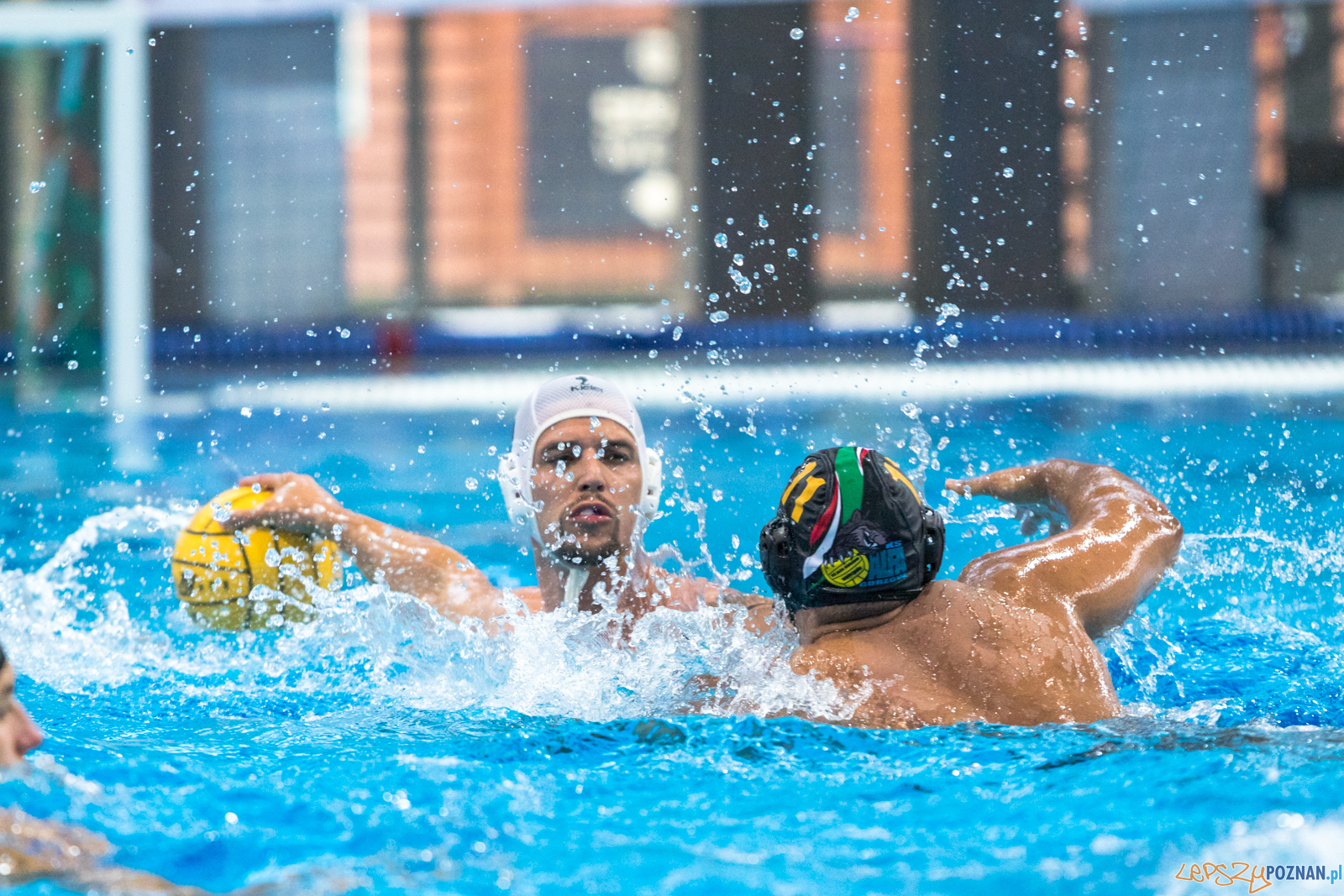 Waterpolo Cup 2019 - Waterpolo Poznań - Alfa Gorzów Wielkopols Foto: lepszyPOZNAN.pl/Piotr Rychter Waterpolo Cup 2019 - Waterpolo Poznań - Alfa Gorzów Wielkopols Foto: lepszyPOZNAN.pl/Piotr Rychter