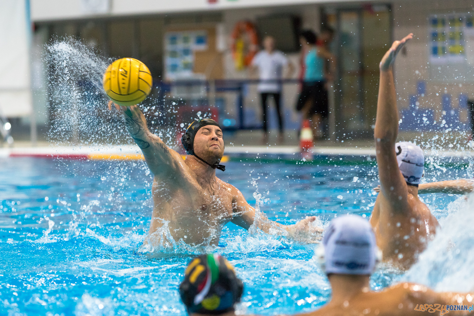 Waterpolo Cup 2019 - Hornets Koszyce - Alfa Gorzów Wielkopolski Foto: lepszyPOZNAN.pl/Piotr Rychter Waterpolo Cup 2019 - Hornets Koszyce - Alfa Gorzów Wielkopolski Foto: lepszyPOZNAN.pl/Piotr Rychter