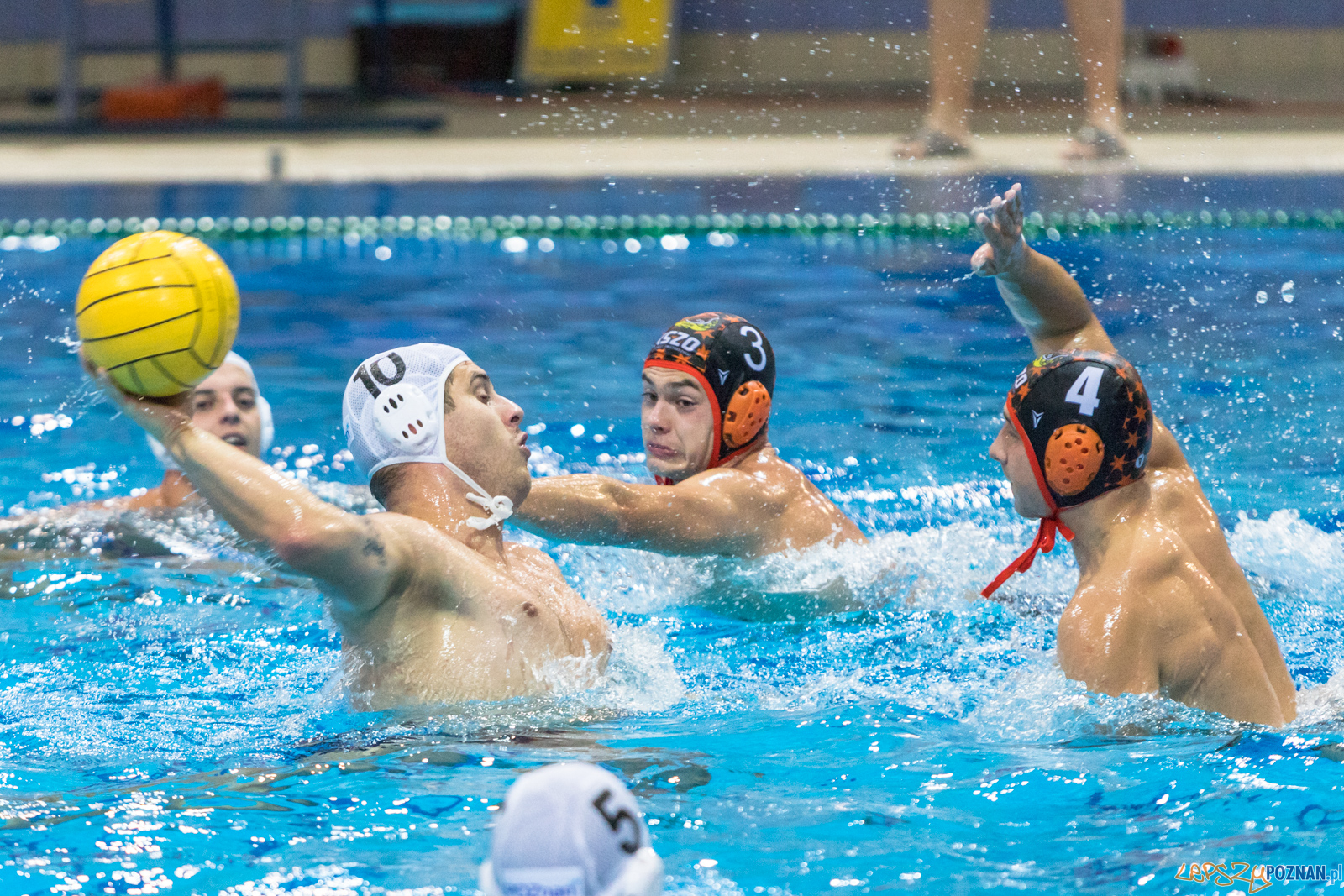 Waterpolo Cup 2019 - Waterpolo Poznań - KSZO Ostrowiec Święto Foto: lepszyPOZNAN.pl/Piotr Rychter Waterpolo Cup 2019 - Waterpolo Poznań - KSZO Ostrowiec Święto Foto: lepszyPOZNAN.pl/Piotr Rychter