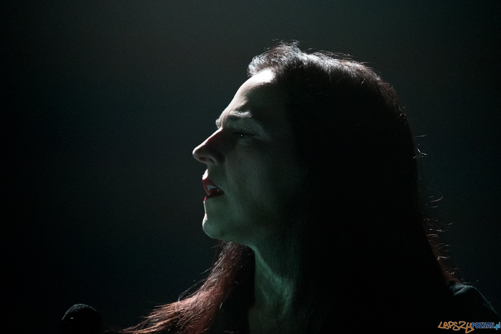 Archive Foto: lepszyPOZNAN.pl / Ewelina Jaśkowiak Archive Foto: lepszyPOZNAN.pl / Ewelina Jaśkowiak