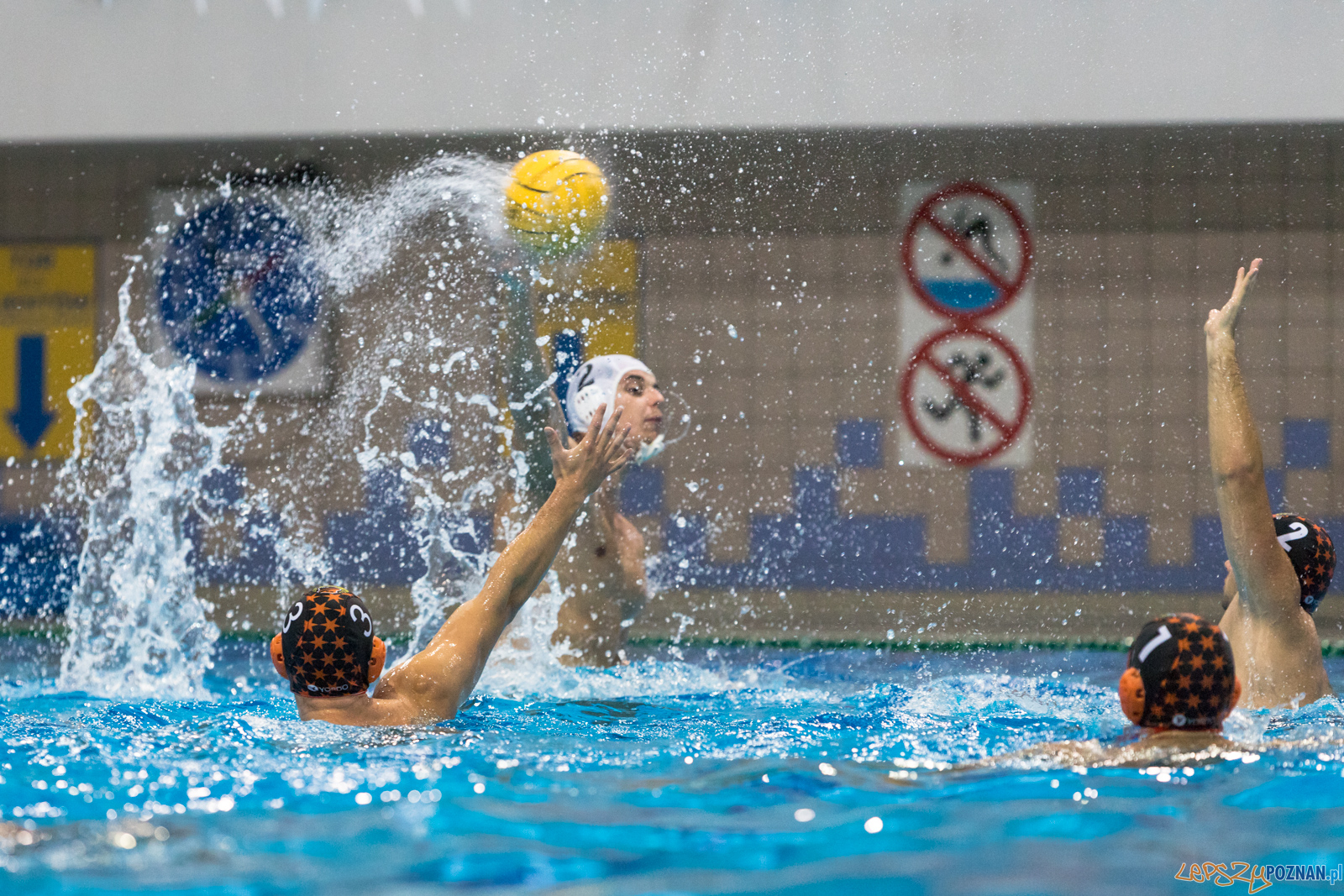 Waterpolo Cup 2019 - Waterpolo Poznań - KSZO Ostrowiec Święto Foto: lepszyPOZNAN.pl/Piotr Rychter Waterpolo Cup 2019 - Waterpolo Poznań - KSZO Ostrowiec Święto Foto: lepszyPOZNAN.pl/Piotr Rychter