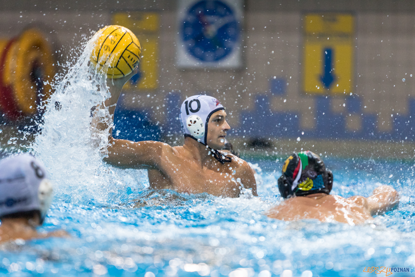 Waterpolo Cup 2019 - Hornets Koszyce - Alfa Gorzów Wielkopolski Foto: lepszyPOZNAN.pl/Piotr Rychter Waterpolo Cup 2019 - Hornets Koszyce - Alfa Gorzów Wielkopolski Foto: lepszyPOZNAN.pl/Piotr Rychter