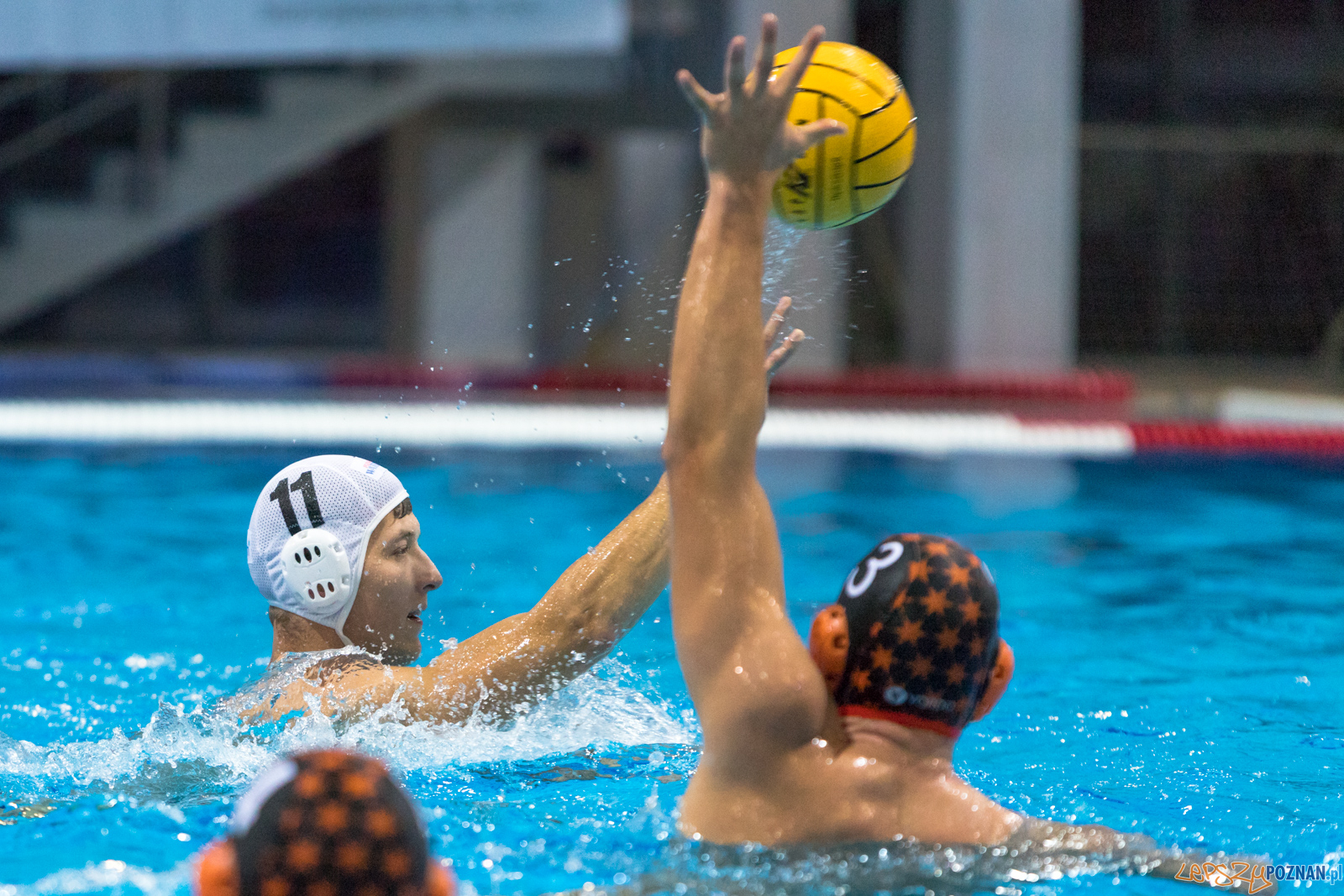 Waterpolo Cup 2019 - Waterpolo Poznań - KSZO Ostrowiec Święto Foto: lepszyPOZNAN.pl/Piotr Rychter Waterpolo Cup 2019 - Waterpolo Poznań - KSZO Ostrowiec Święto Foto: lepszyPOZNAN.pl/Piotr Rychter