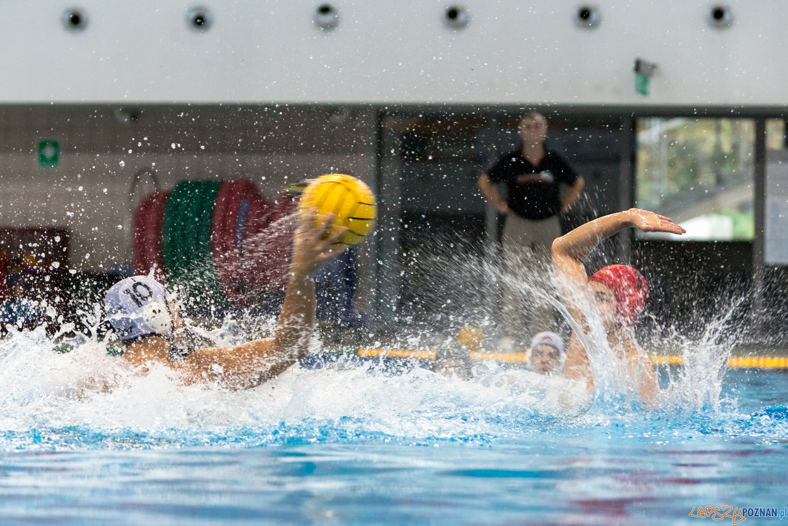 Waterpolo Cup 2019 - Hornets Koszyce - Alfa Gorzów Wielkopolski Foto: lepszyPOZNAN.pl/Piotr Rychter Waterpolo Cup 2019 - Hornets Koszyce - Alfa Gorzów Wielkopolski Foto: lepszyPOZNAN.pl/Piotr Rychter