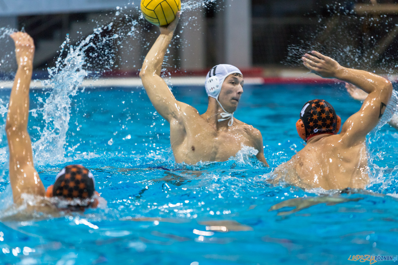 Waterpolo Cup 2019 - Waterpolo Poznań - KSZO Ostrowiec Święto Foto: lepszyPOZNAN.pl/Piotr Rychter Waterpolo Cup 2019 - Waterpolo Poznań - KSZO Ostrowiec Święto Foto: lepszyPOZNAN.pl/Piotr Rychter
