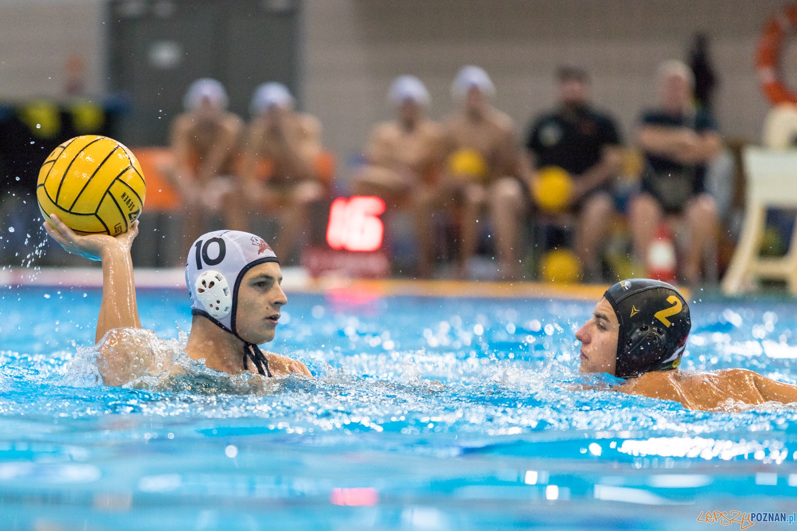 Waterpolo Cup 2019 - Hornets Koszyce - Alfa Gorzów Wielkopolski Foto: lepszyPOZNAN.pl/Piotr Rychter Waterpolo Cup 2019 - Hornets Koszyce - Alfa Gorzów Wielkopolski Foto: lepszyPOZNAN.pl/Piotr Rychter
