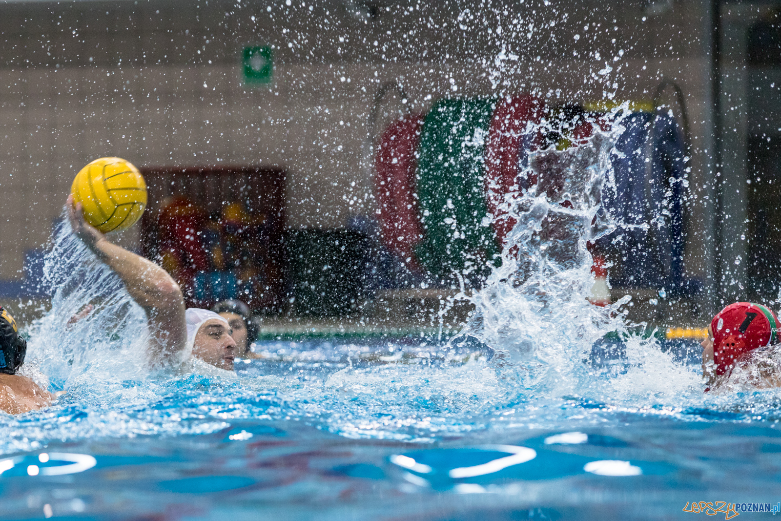Waterpolo Cup 2019 - Waterpolo Poznań - Alfa Gorzów Wielkopols Foto: lepszyPOZNAN.pl/Piotr Rychter Waterpolo Cup 2019 - Waterpolo Poznań - Alfa Gorzów Wielkopols Foto: lepszyPOZNAN.pl/Piotr Rychter