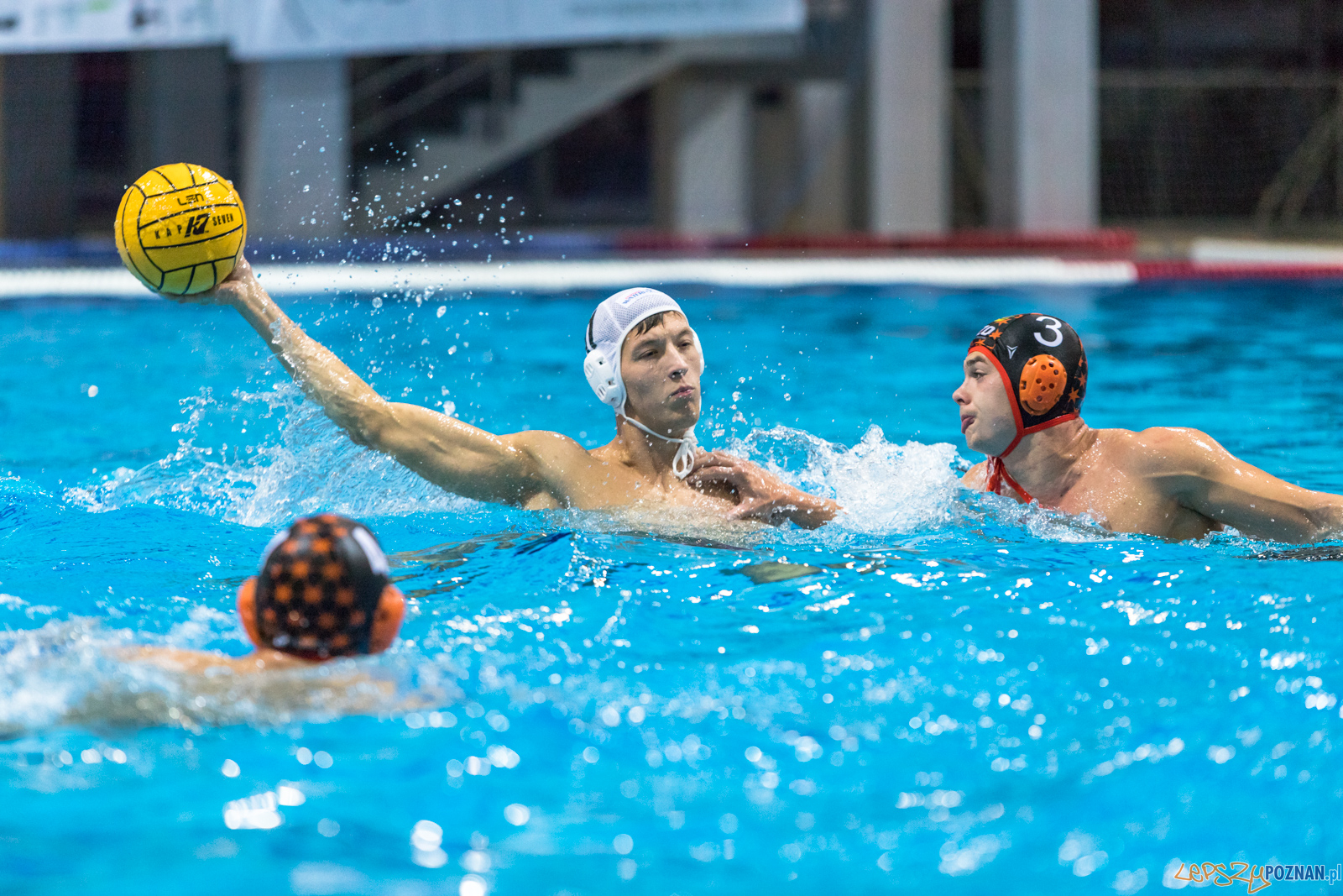 Waterpolo Cup 2019 - Waterpolo Poznań - KSZO Ostrowiec Święto Foto: lepszyPOZNAN.pl/Piotr Rychter Waterpolo Cup 2019 - Waterpolo Poznań - KSZO Ostrowiec Święto Foto: lepszyPOZNAN.pl/Piotr Rychter