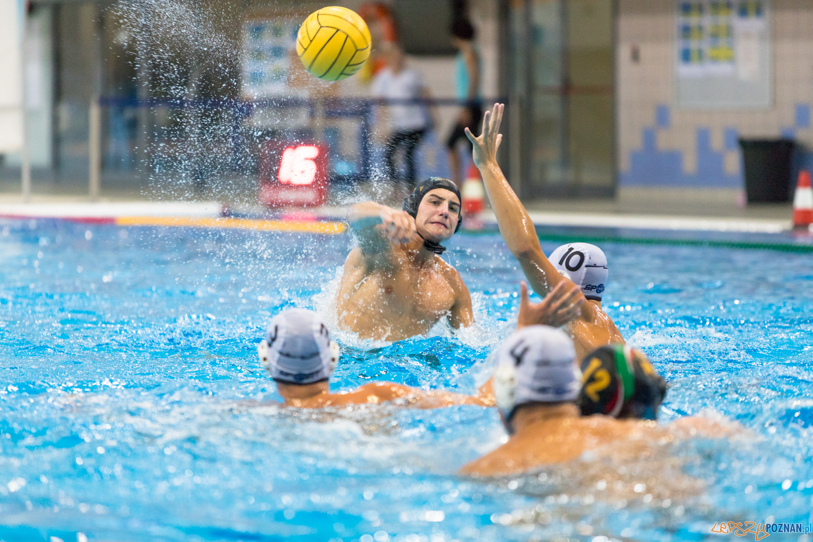 Waterpolo Cup 2019 - Hornets Koszyce - Alfa Gorzów Wielkopolski Foto: lepszyPOZNAN.pl/Piotr Rychter Waterpolo Cup 2019 - Hornets Koszyce - Alfa Gorzów Wielkopolski Foto: lepszyPOZNAN.pl/Piotr Rychter
