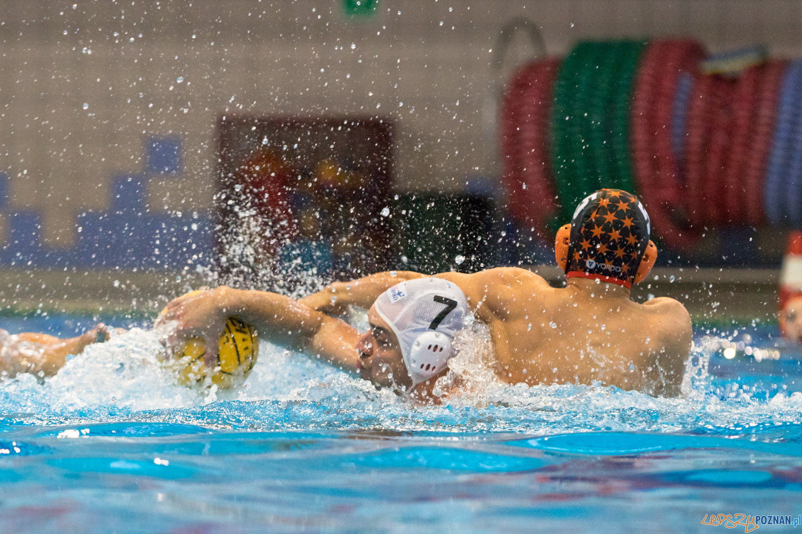 Waterpolo Cup 2019 - Waterpolo Poznań - KSZO Ostrowiec Święto Foto: lepszyPOZNAN.pl/Piotr Rychter Waterpolo Cup 2019 - Waterpolo Poznań - KSZO Ostrowiec Święto Foto: lepszyPOZNAN.pl/Piotr Rychter