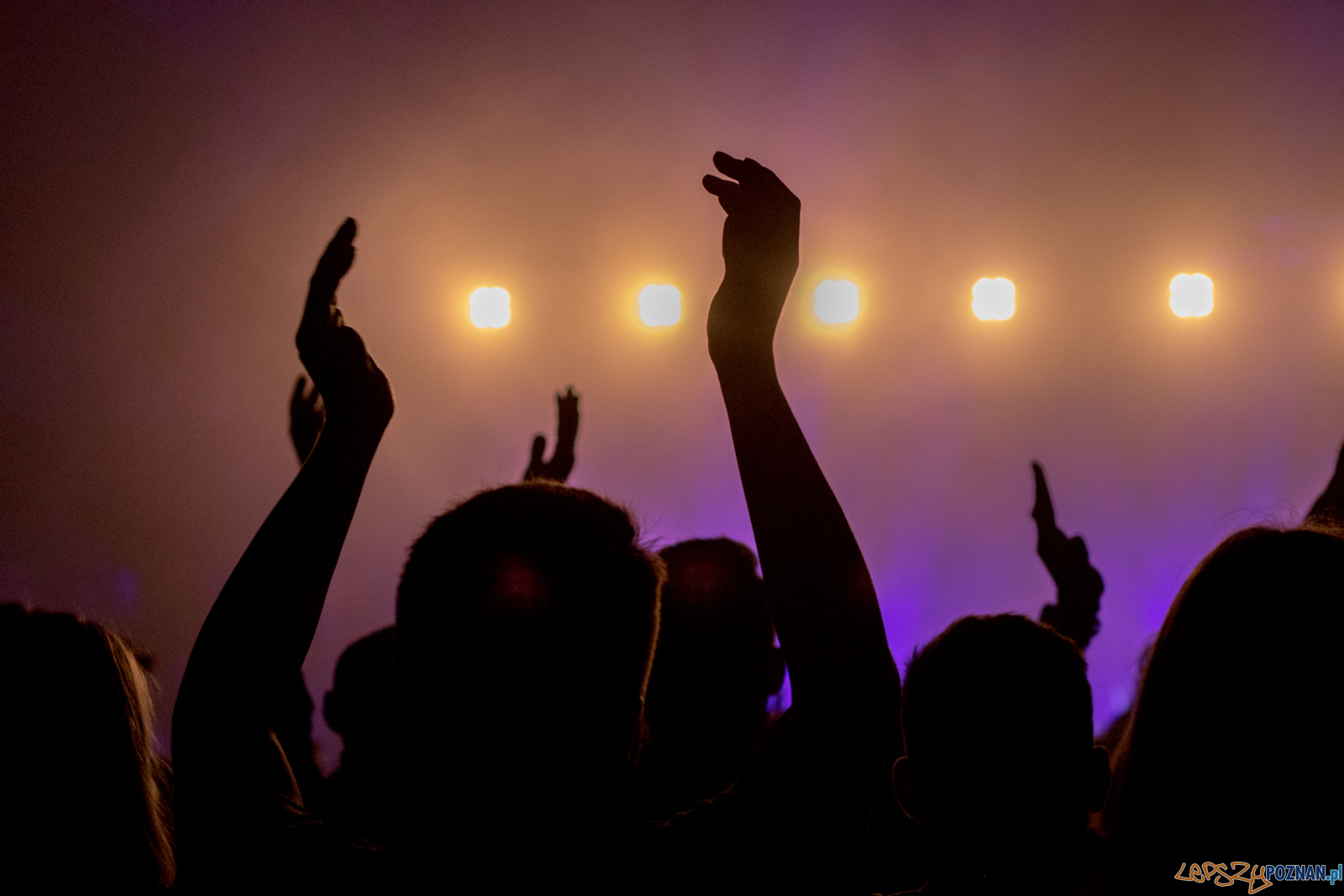 Archive Foto: lepszyPOZNAN.pl / Ewelina Jaśkowiak Archive Foto: lepszyPOZNAN.pl / Ewelina Jaśkowiak