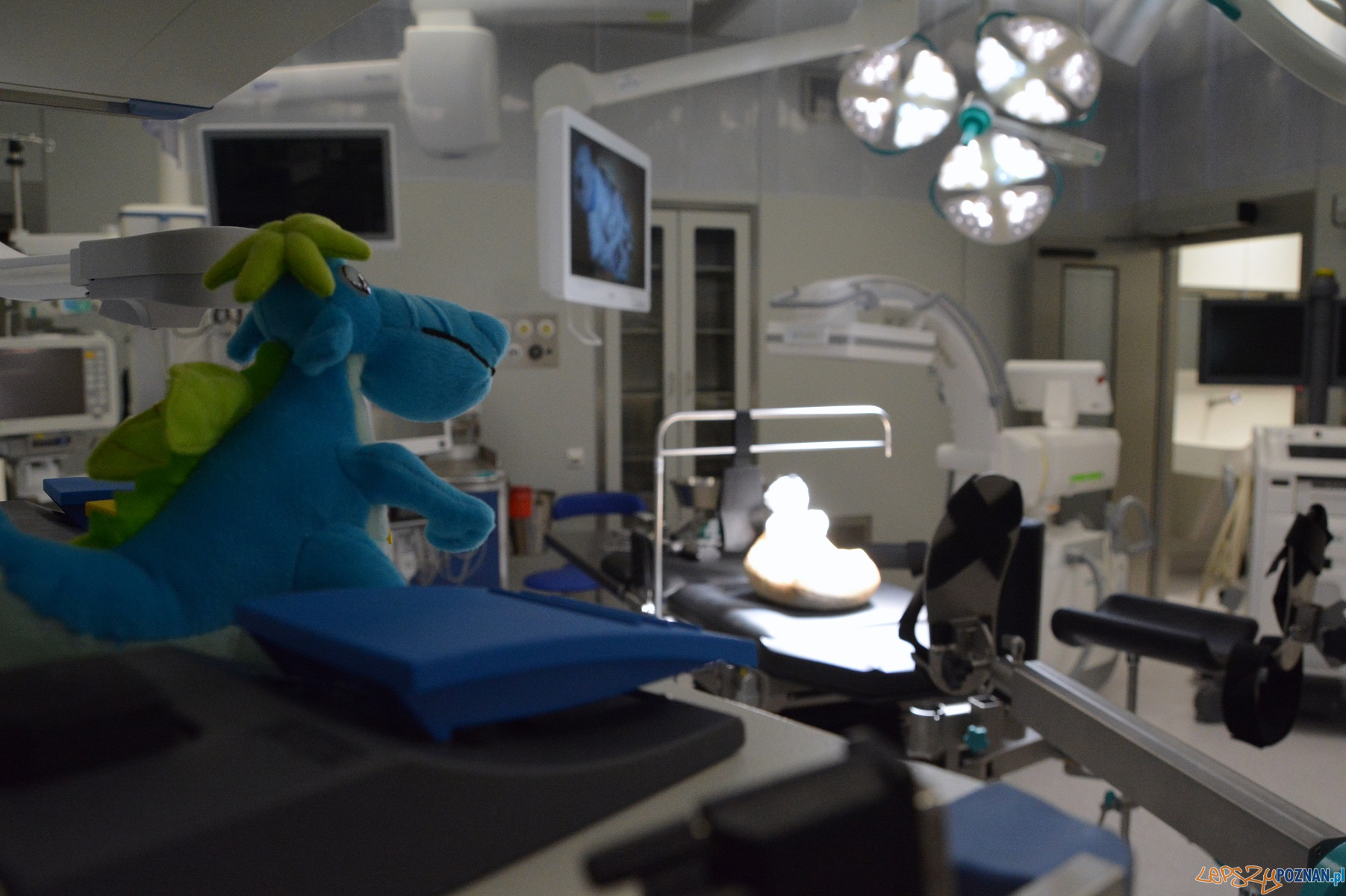 Szpitala Klinicznego im. Karola Jonschera Uniwersytetu Medycznego w Poznaniu Foto: mteriały prasowe / UMP Szpitala Klinicznego im. Karola Jonschera Uniwersytetu Medycznego w Poznaniu Foto: mteriały prasowe / UMP