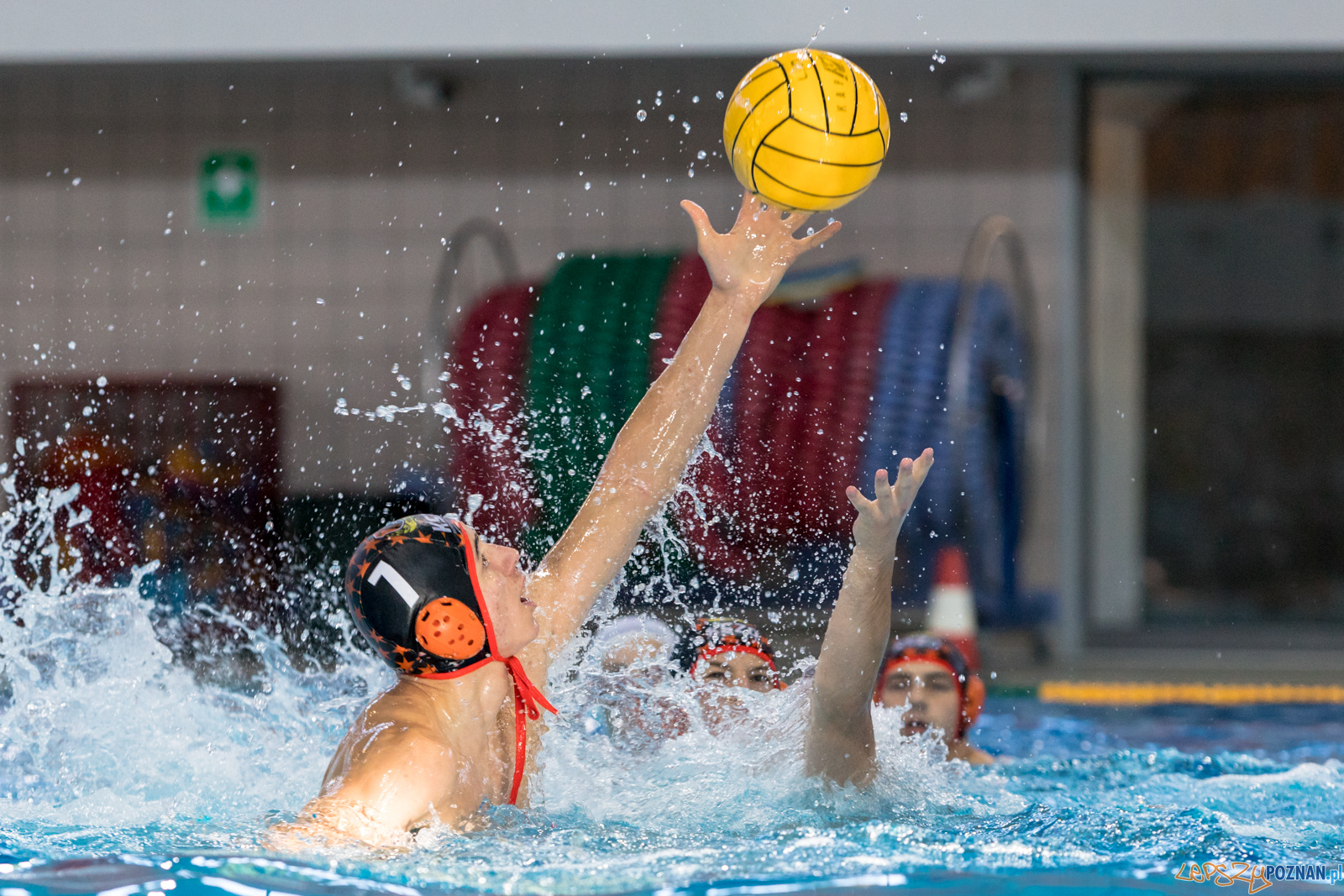 Waterpolo Cup 2019 - Alfa Gorzów Wielkopolski - KSZO Ostrowiec Foto: lepszyPOZNAN.pl/Piotr Rychter Waterpolo Cup 2019 - Alfa Gorzów Wielkopolski - KSZO Ostrowiec Foto: lepszyPOZNAN.pl/Piotr Rychter