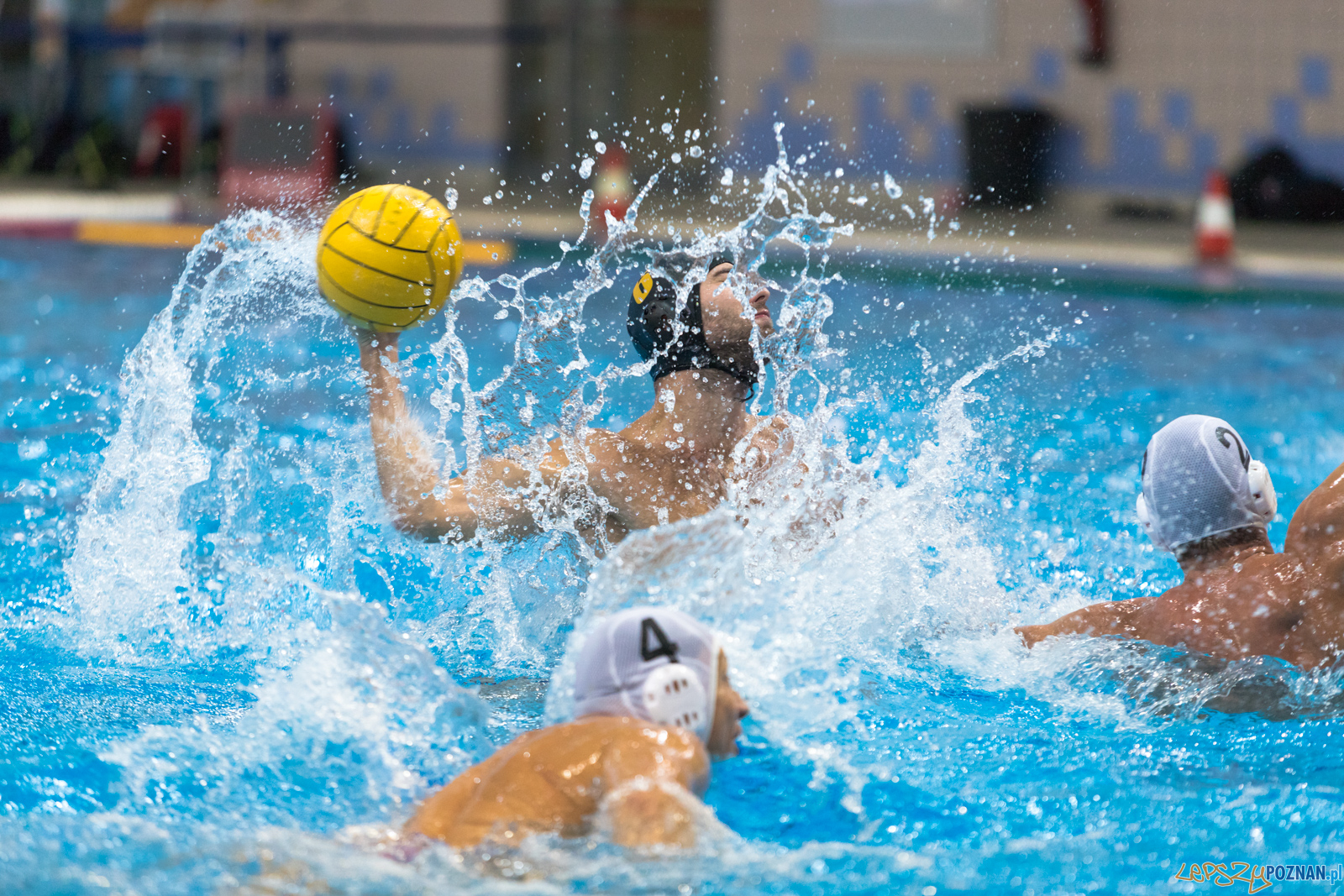 Waterpolo Cup 2019 - Waterpolo Poznań - Alfa Gorzów Wielkopols Foto: lepszyPOZNAN.pl/Piotr Rychter Waterpolo Cup 2019 - Waterpolo Poznań - Alfa Gorzów Wielkopols Foto: lepszyPOZNAN.pl/Piotr Rychter