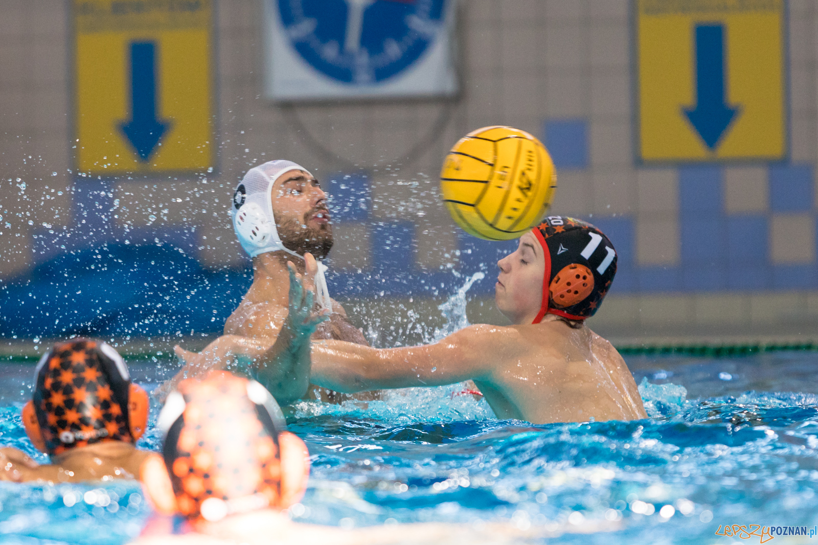 Waterpolo Cup 2019 - Alfa Gorzów Wielkopolski - KSZO Ostrowiec Foto: lepszyPOZNAN.pl/Piotr Rychter Waterpolo Cup 2019 - Alfa Gorzów Wielkopolski - KSZO Ostrowiec Foto: lepszyPOZNAN.pl/Piotr Rychter
