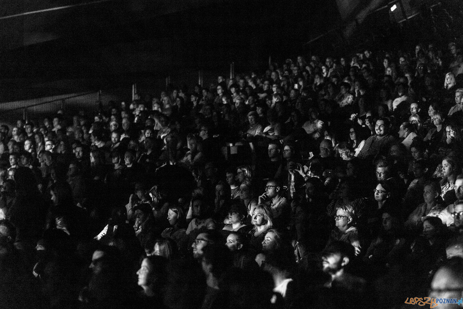 Paweł Domagała - 1984 Tour Foto: lepszyPOZNAN.pl/Piotr Rychter Paweł Domagała - 1984 Tour Foto: lepszyPOZNAN.pl/Piotr Rychter